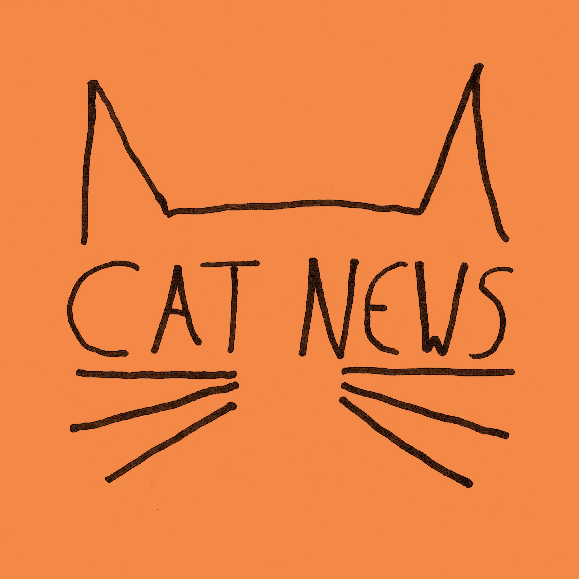 Cat News Logo.jpg