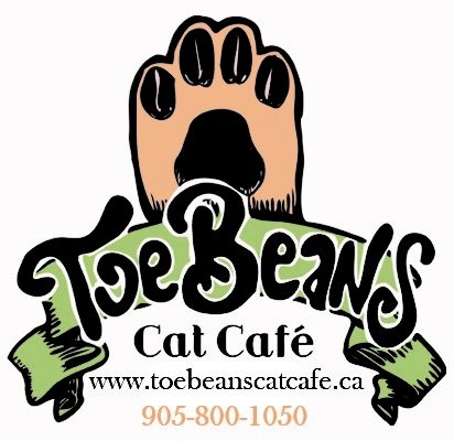 Toe Beans Cat Cafe.jpg