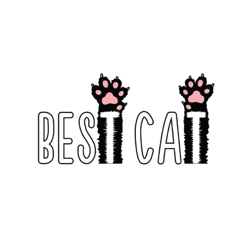 best-cat-logo.png