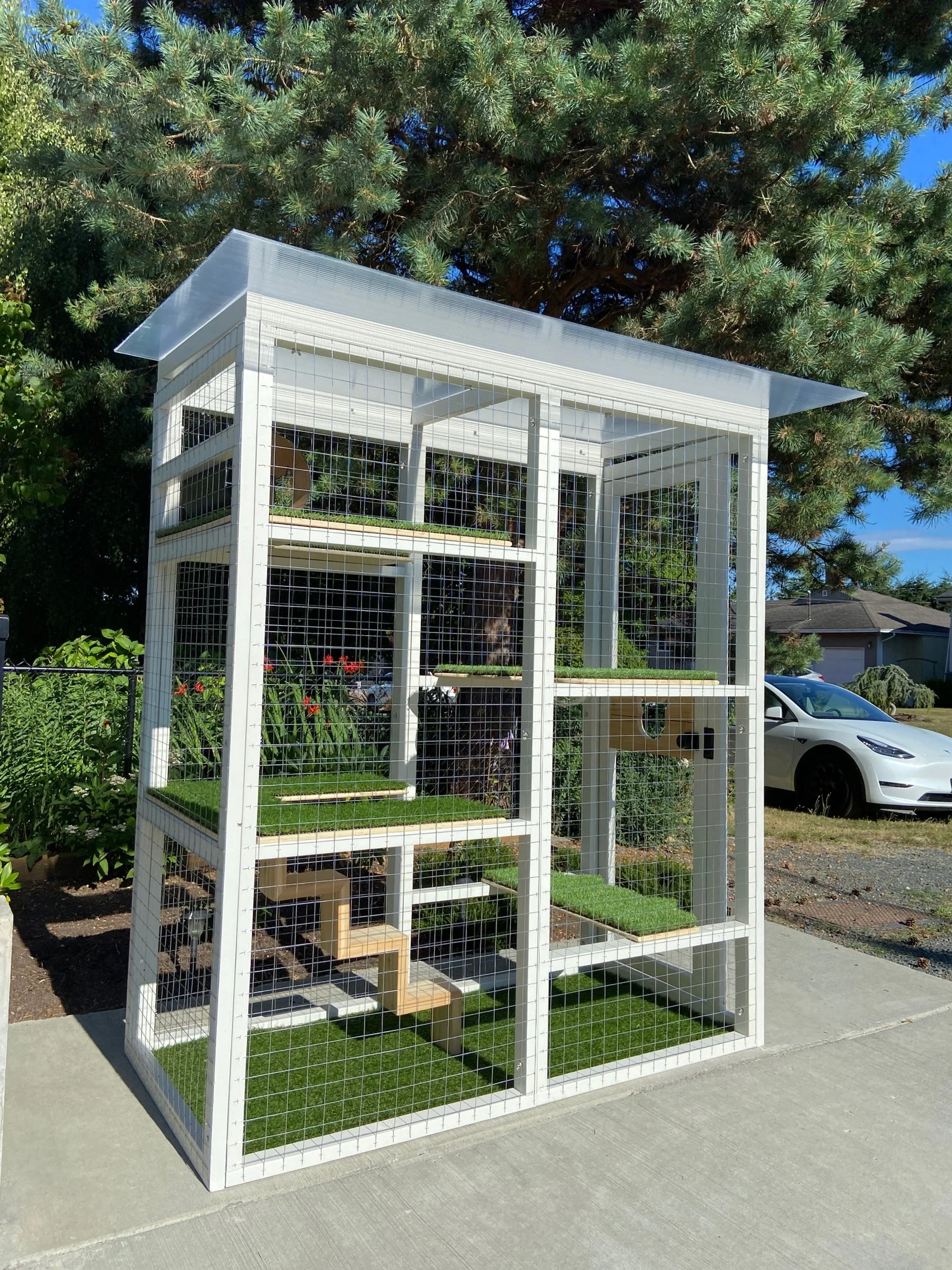 meowfest Vancouver: Pawsitively the Cat's Meow with Our Biggest Prizes Yet!