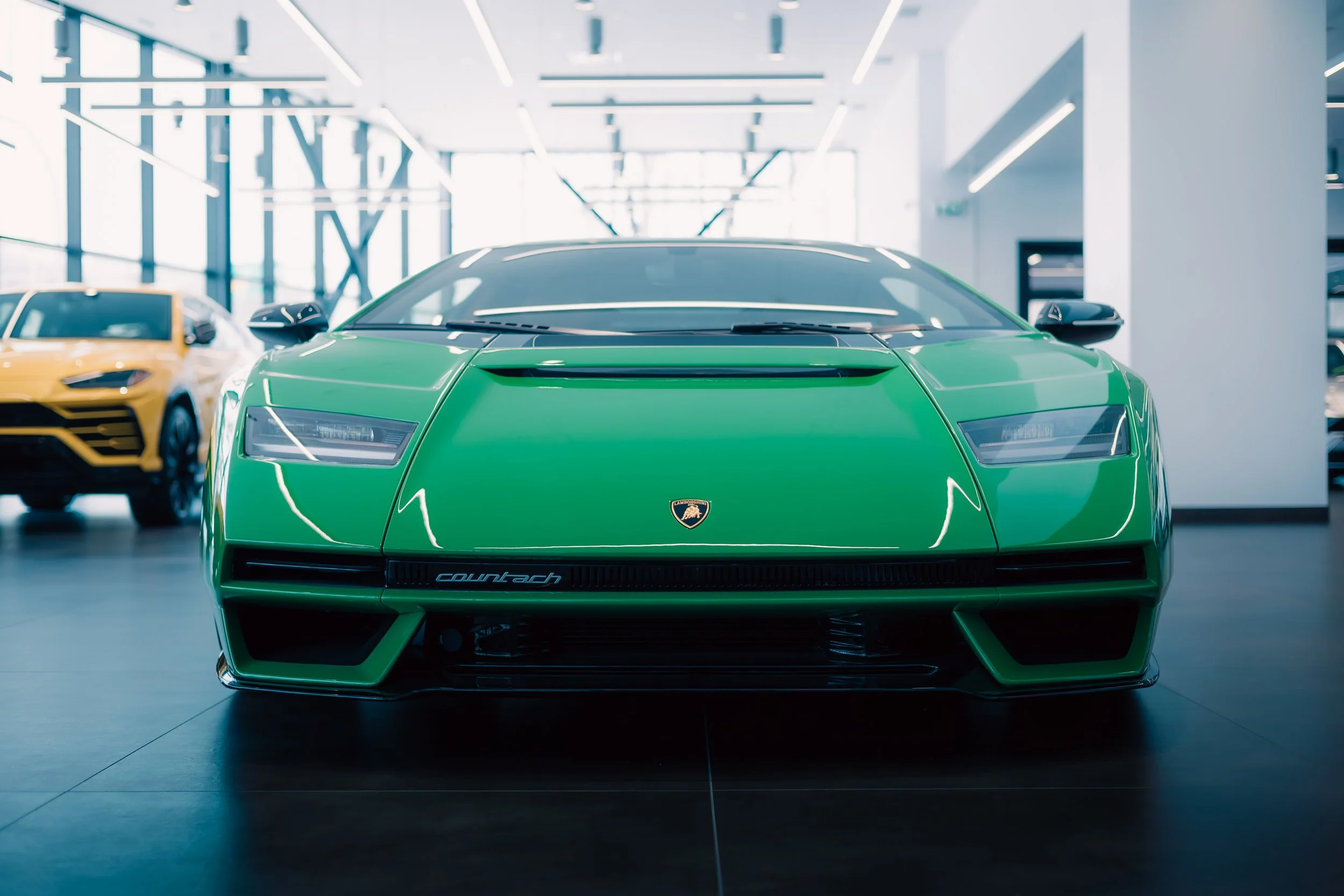 Lamb 6 - @superkev3000_.jpg