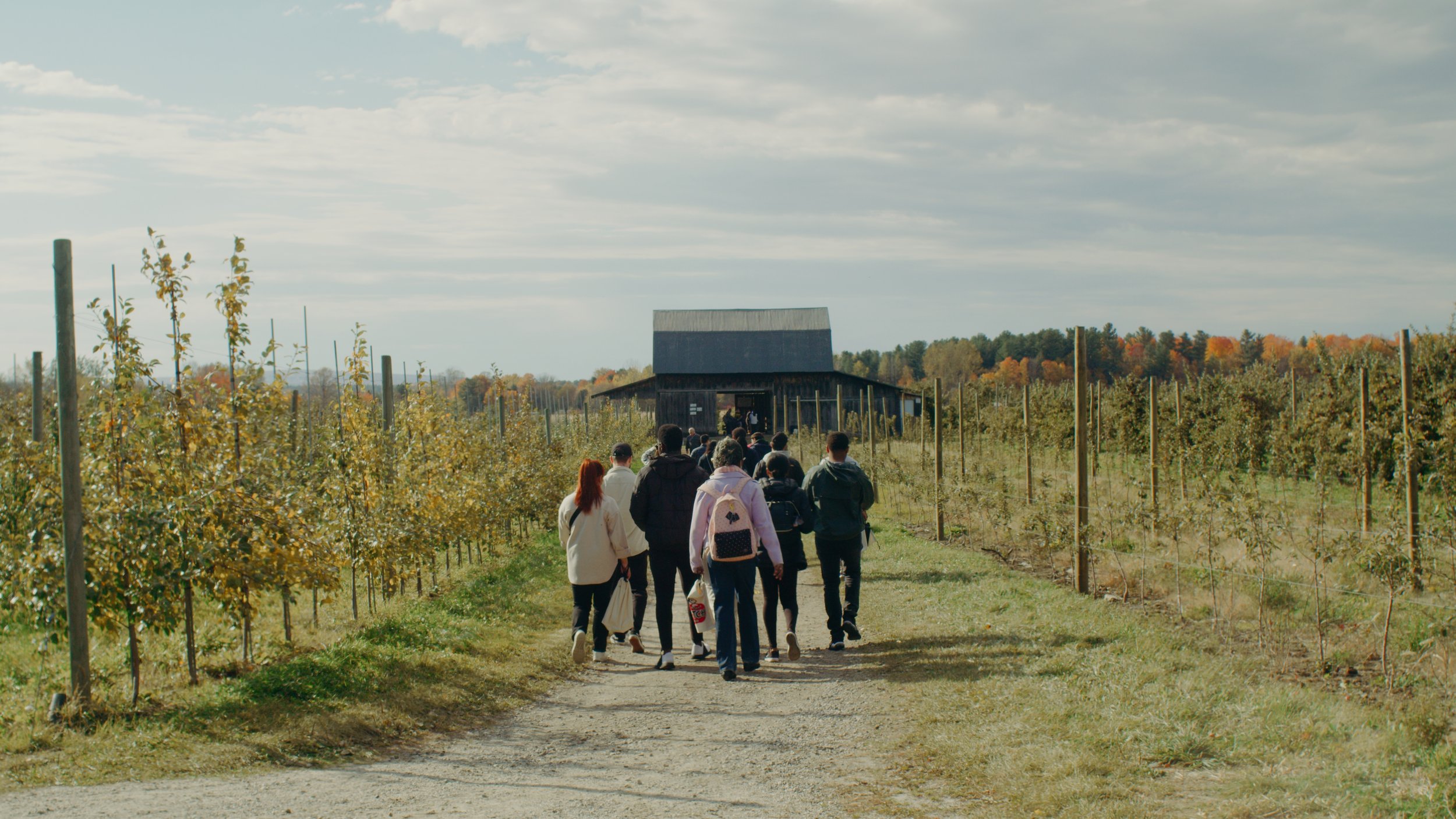 22- Apple 8_1.30.1.jpg