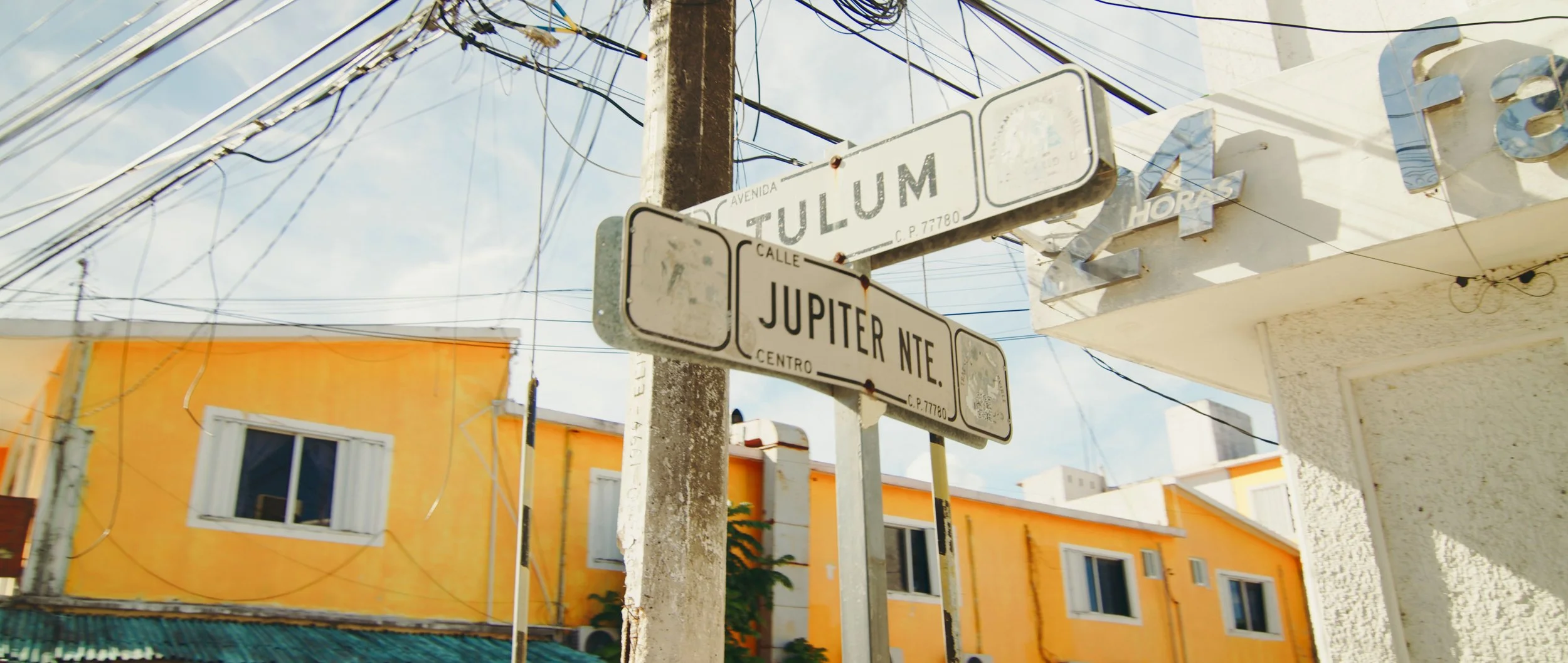 Photo 53 for Bark.jpg