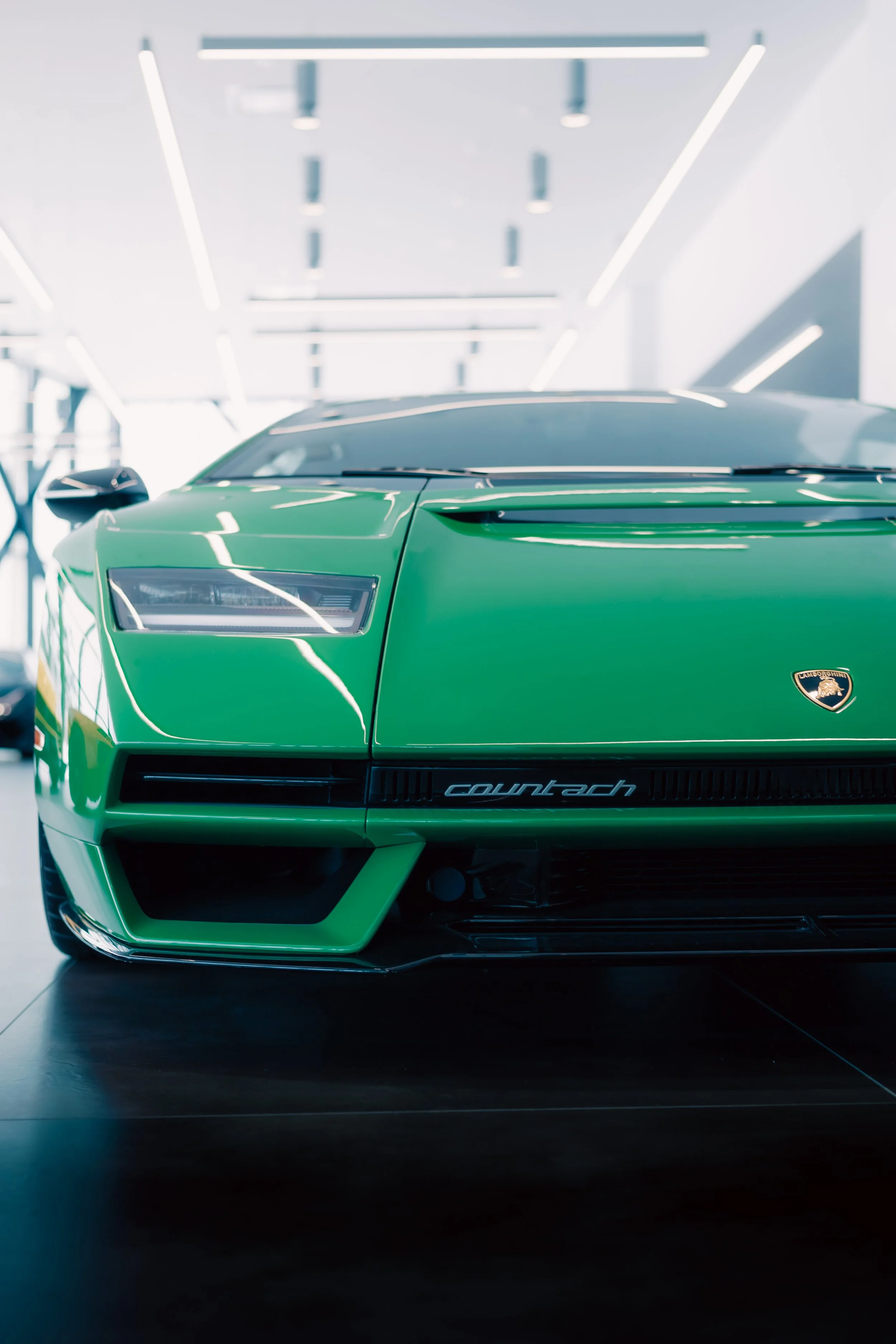 Lamb 3 - @superkev3000_.jpg