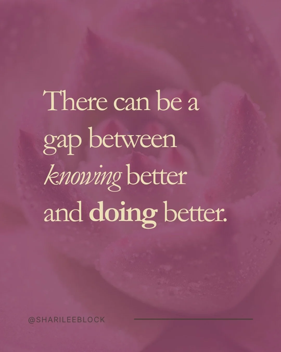 There can be a gap between knowing better and doing better.

Not because you lack insight.
Not because you haven&rsquo;t reflected enough.
Not because you don&rsquo;t understand yourself.

But because insight and change don&rsquo;t always move throug