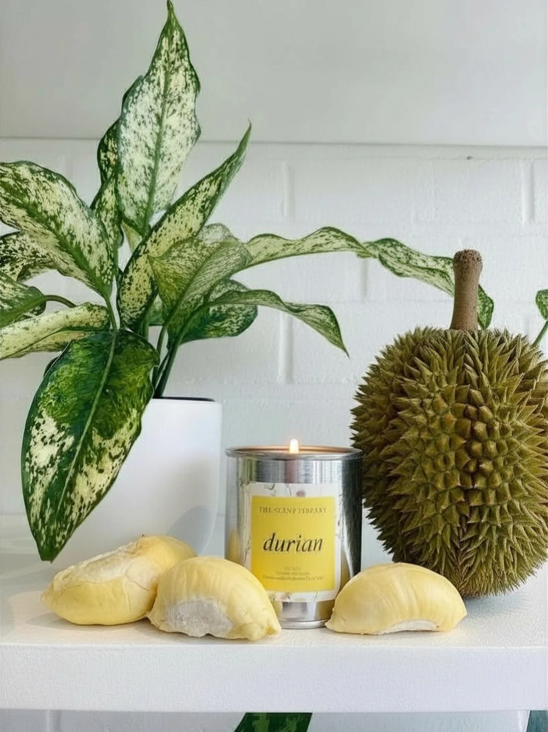 Our newest candle scent durian. Notes: creamy custard, strong gasoline, pungent sulfur.