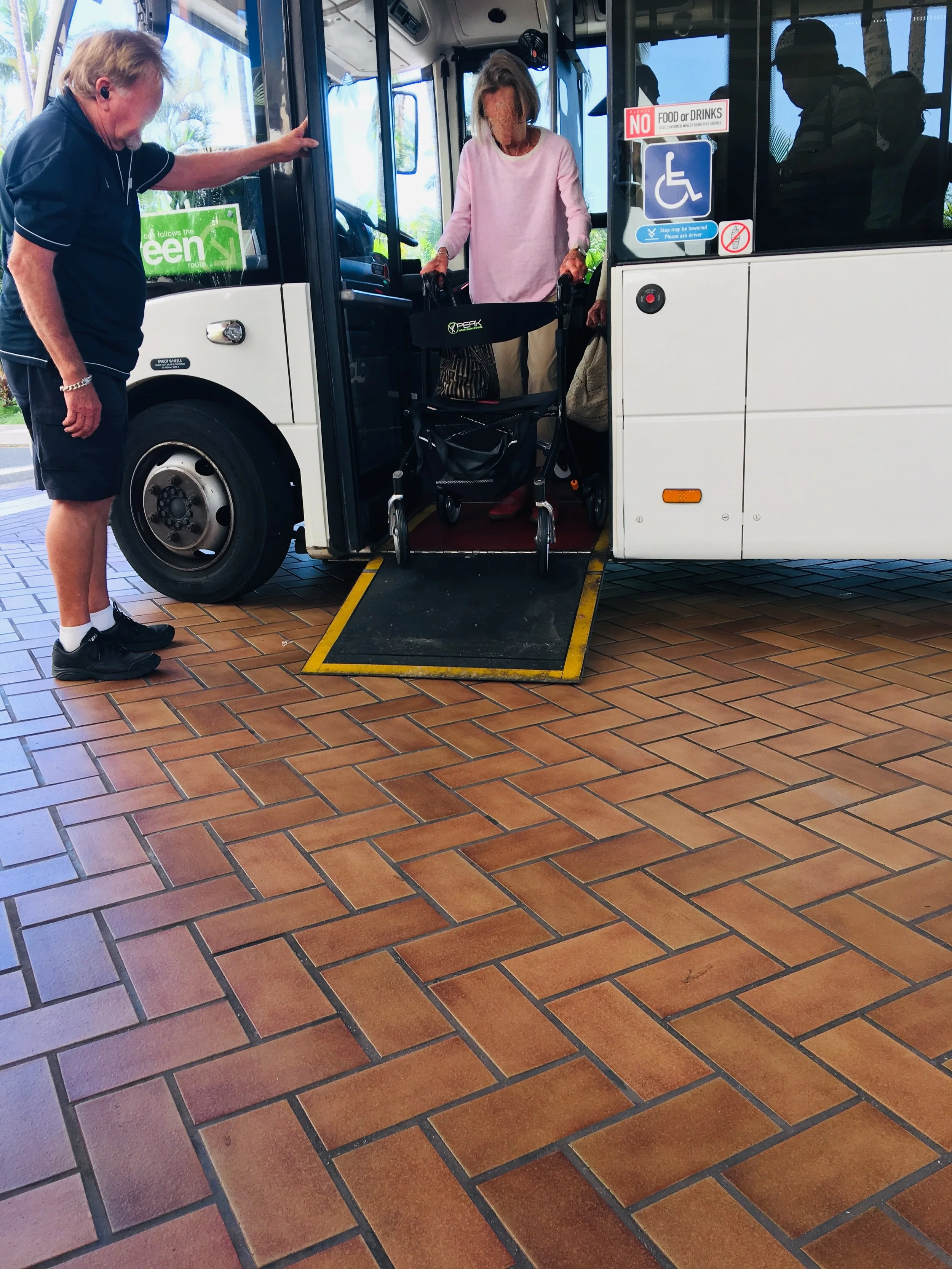 Hamilton Disability Ramp Program Leanne's Wheel Life — disability-wheelchair-using-inclusion-equity ...