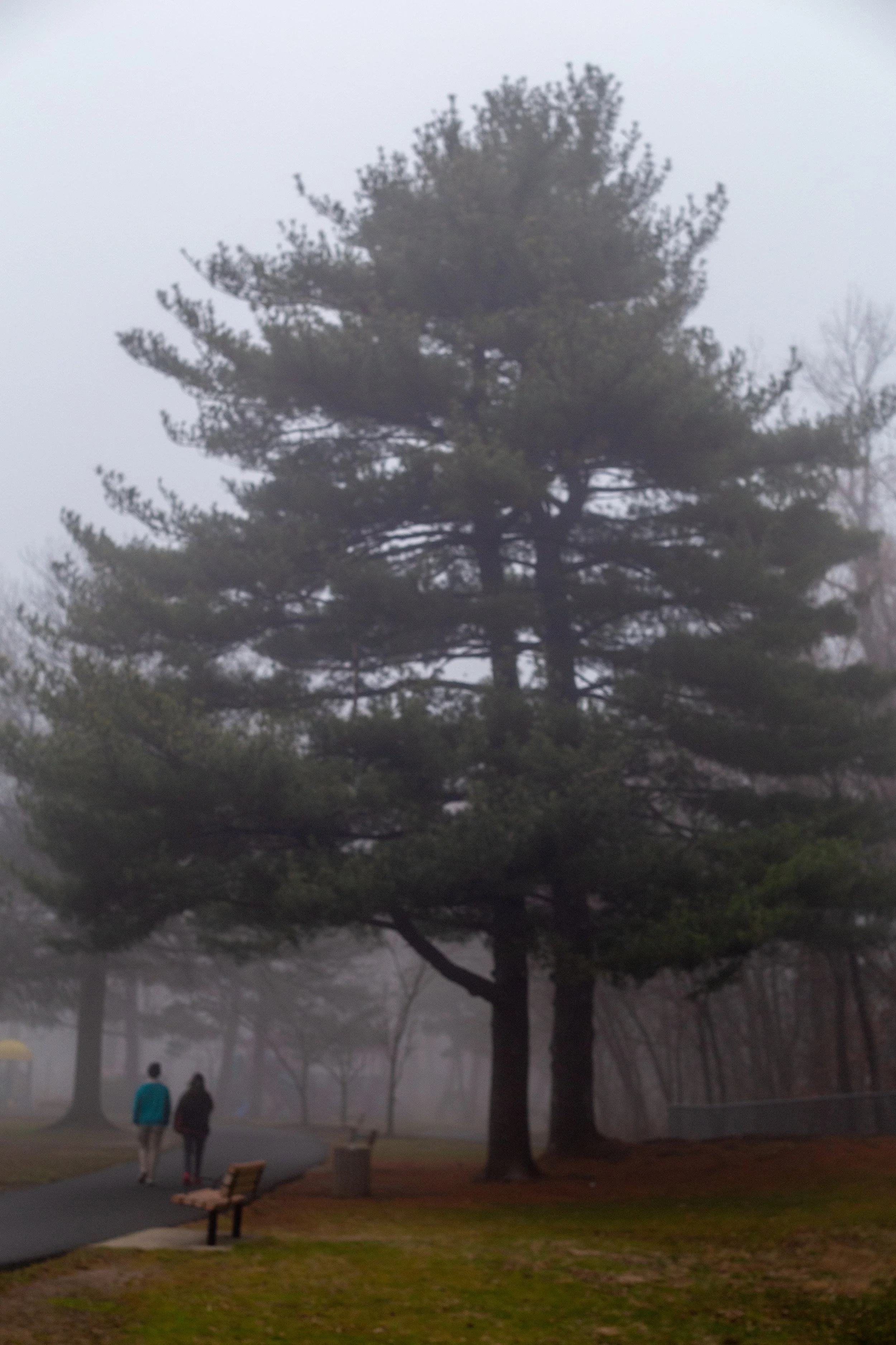 Topcon Lenses-02 (1).jpg