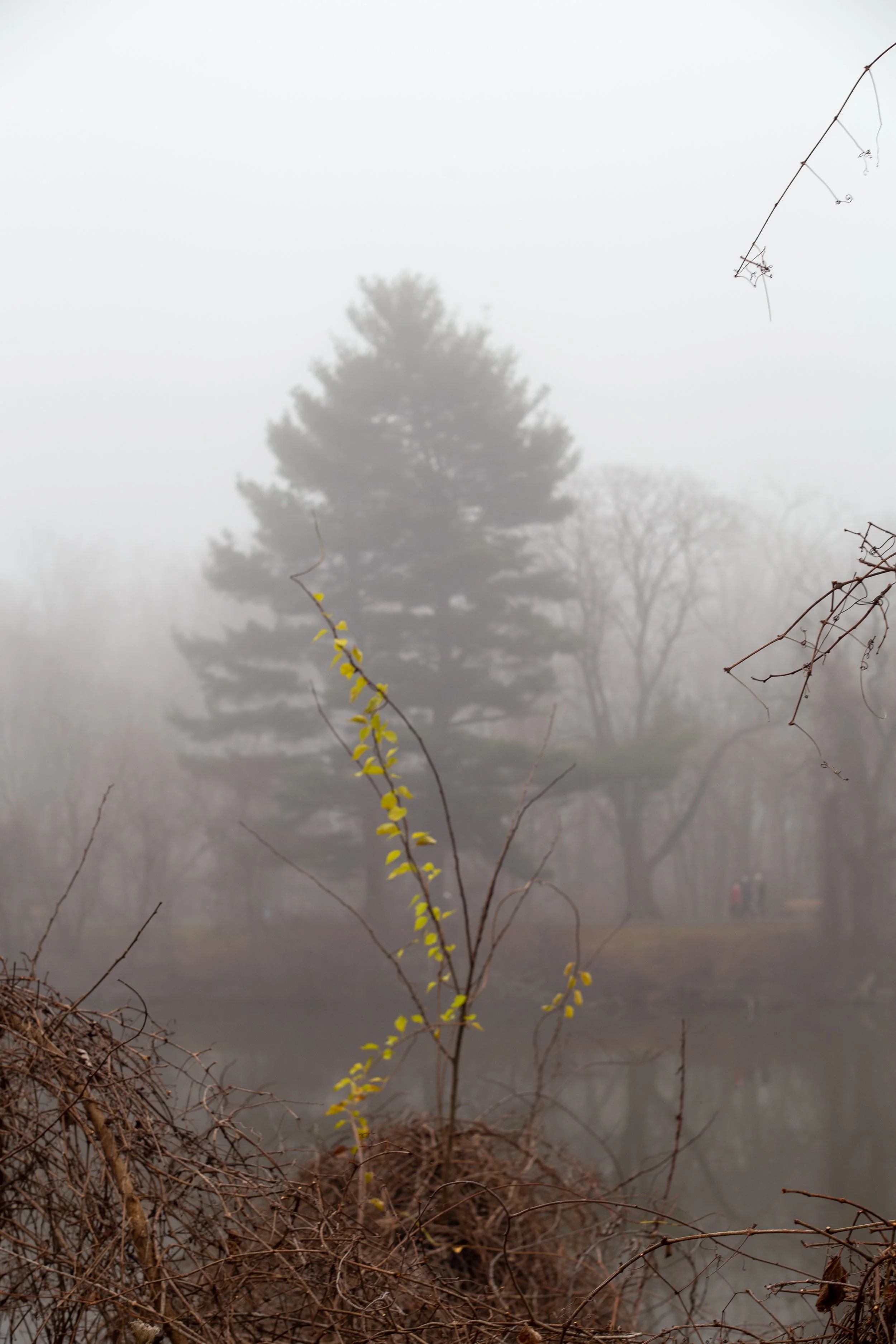 Topcon Lenses-13.jpg