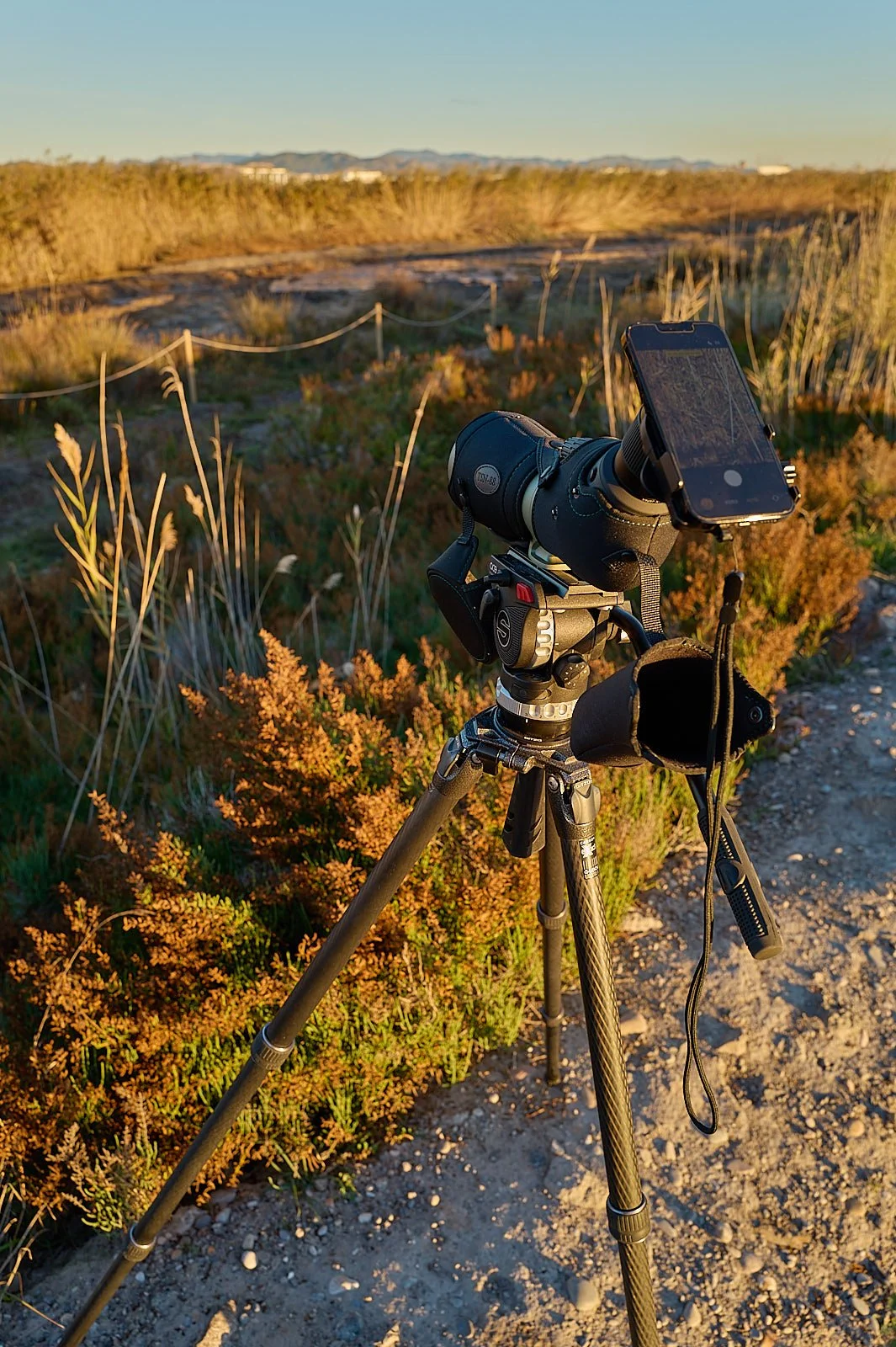 digiscoping en marjal