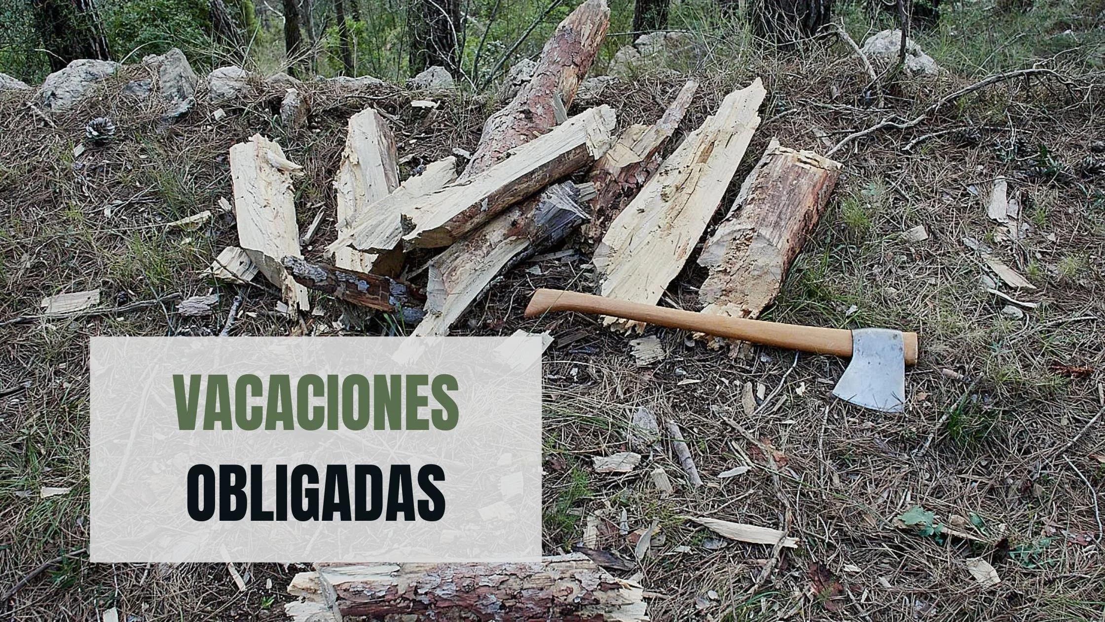 Vacaciones obligadas