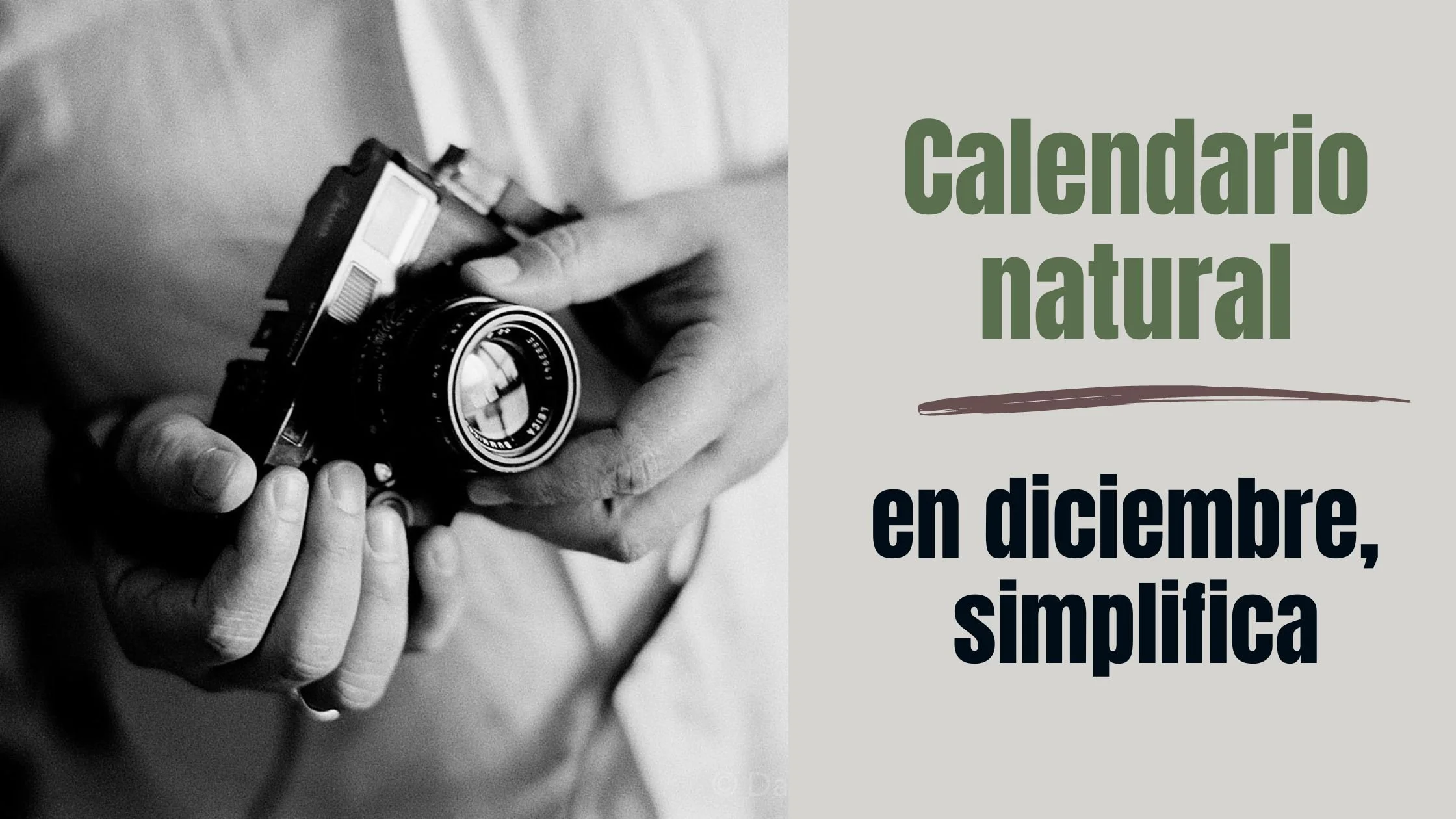 Simplifica y mejora tus fotografías
