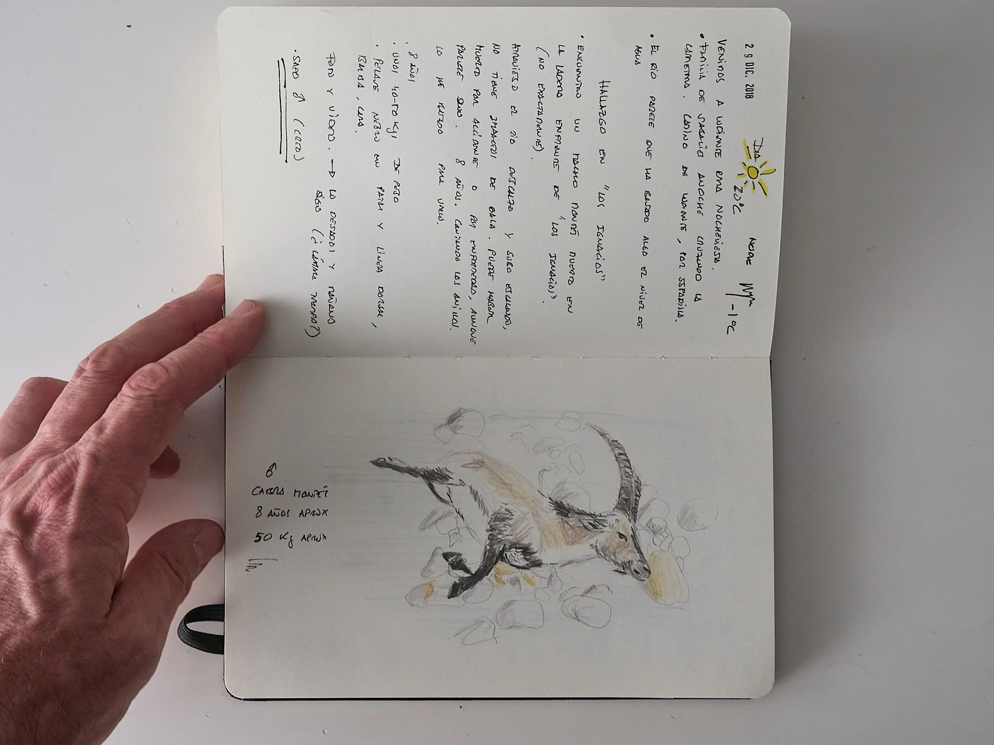 A vueltas con el cuaderno de campo