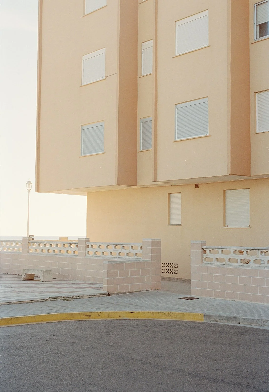 Porque poner plantas en tu terraza