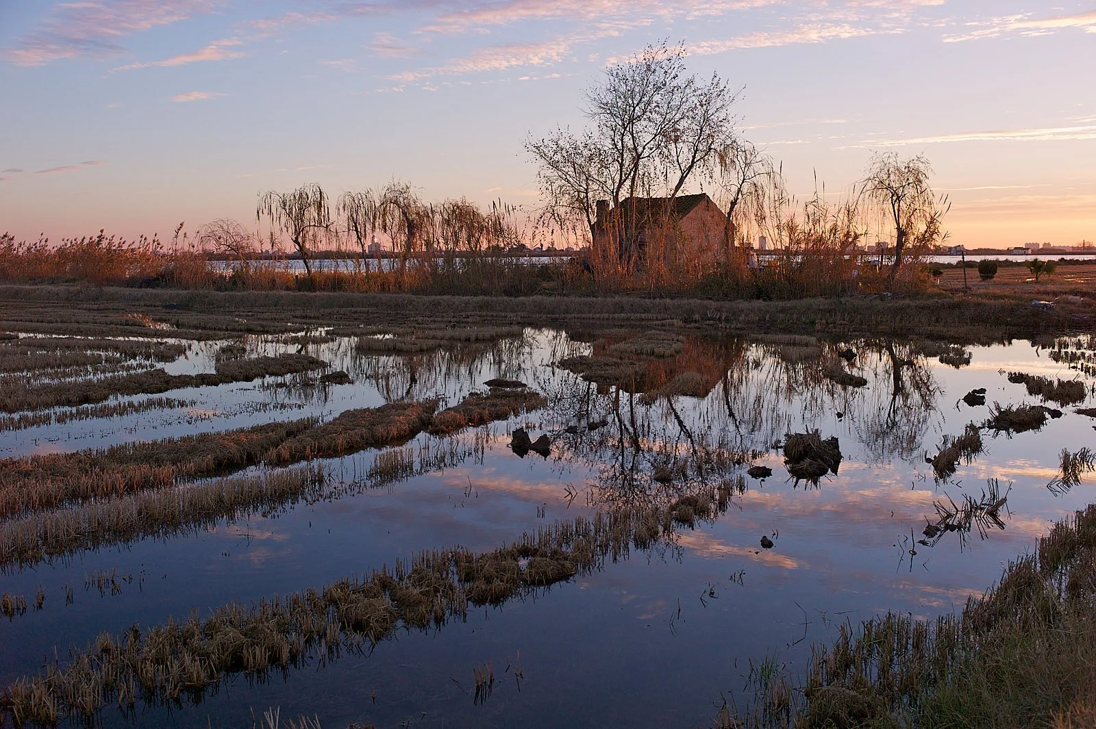 Te dan ganas de irte a vivir en medio de la nada