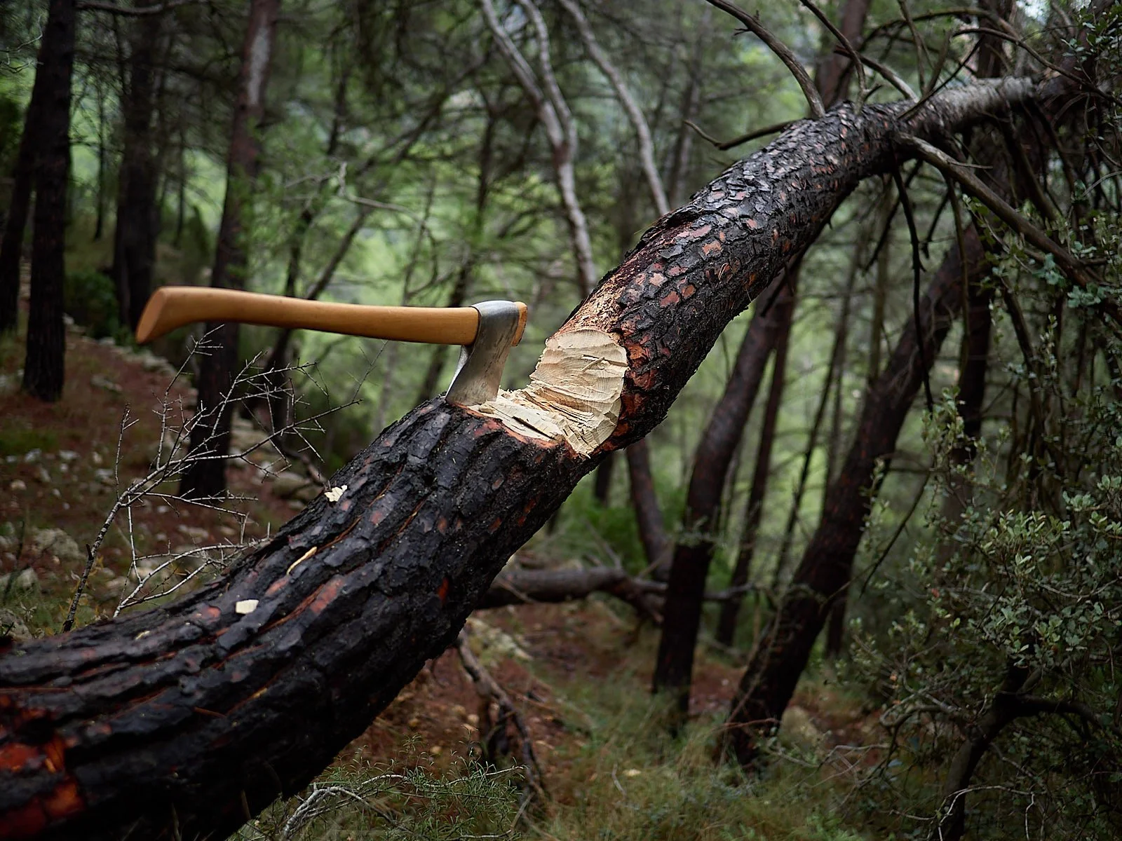 Chop wood carry water