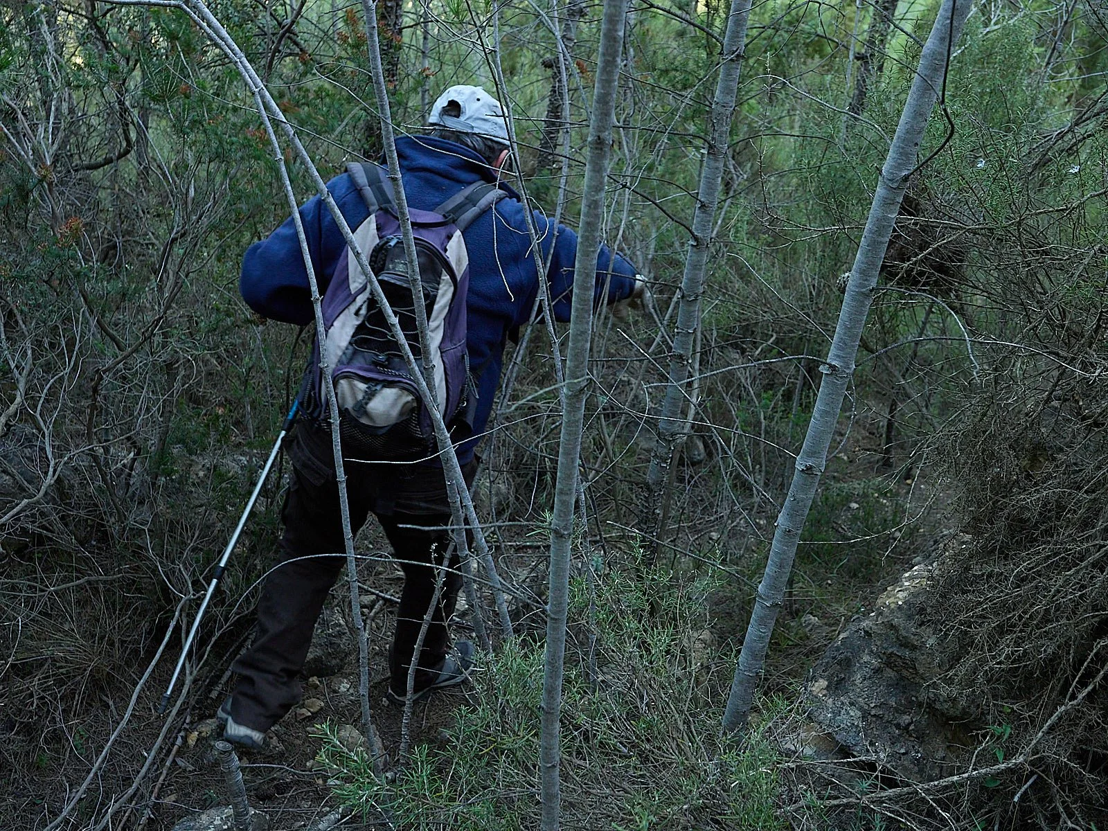 Fuentes y balsas abandonadas