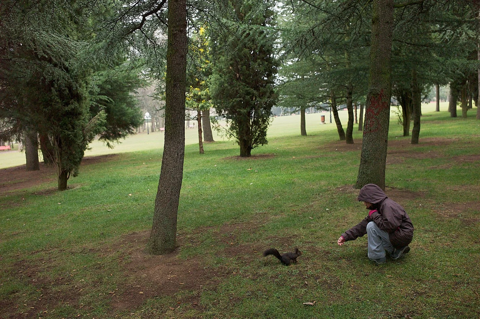 Como hacer que tus hijos amen la naturaleza