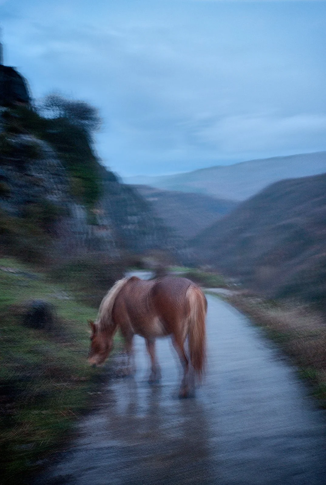 Ligeramente desenfocado