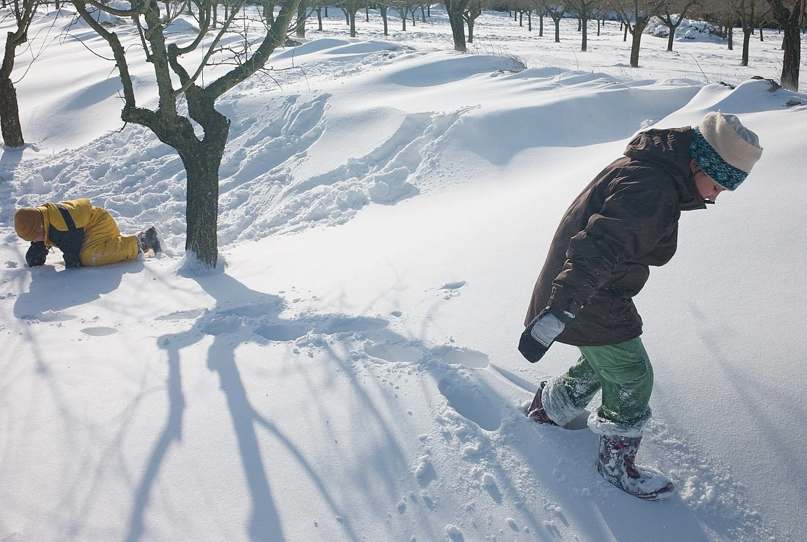 Por que queremos pisar la nieve