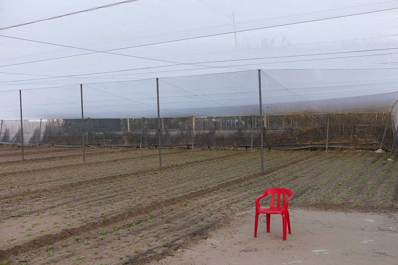 Deja tu casa un poco desordenada