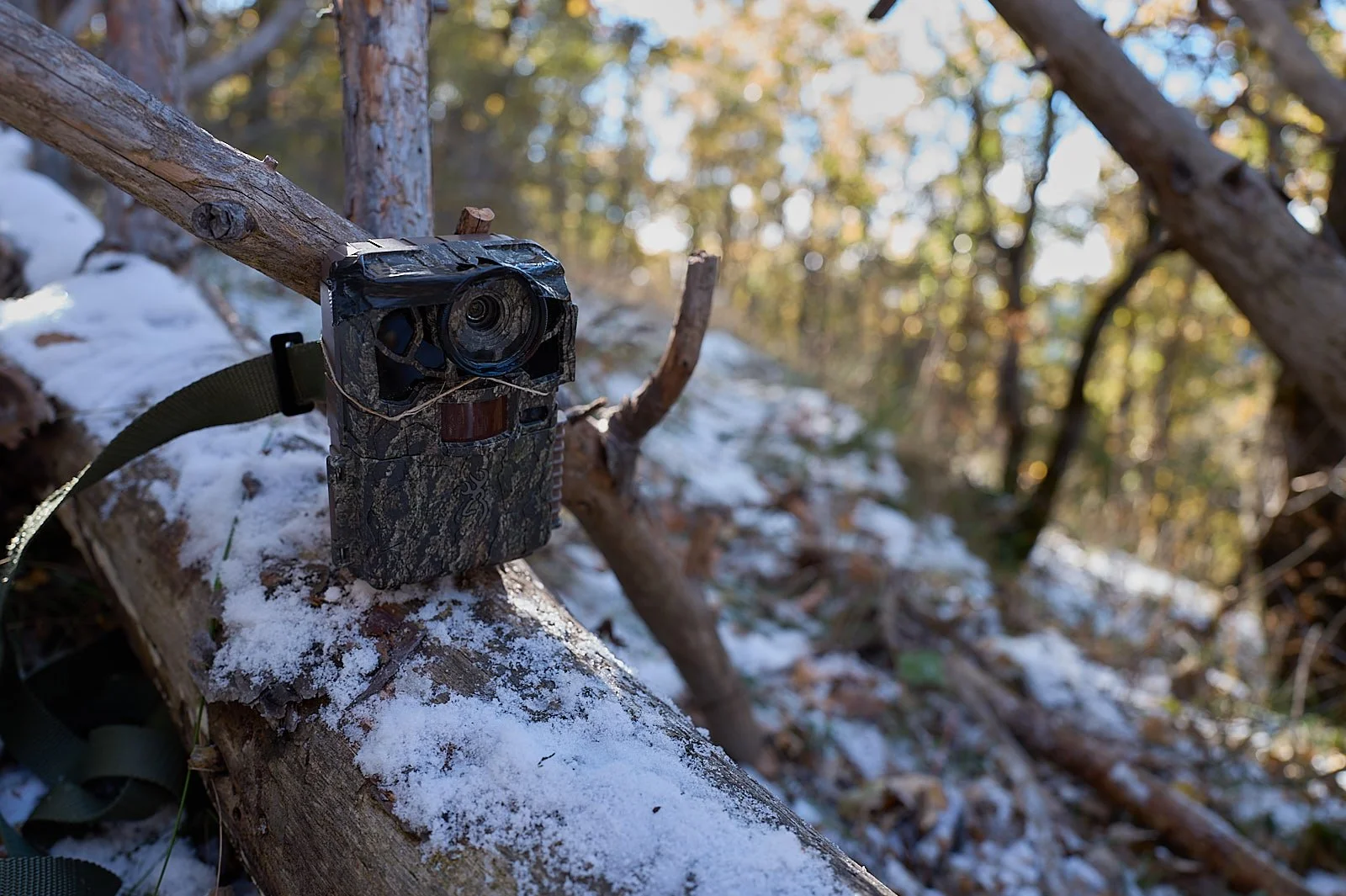 Donde poner tu camara de fototrampeo parte uno