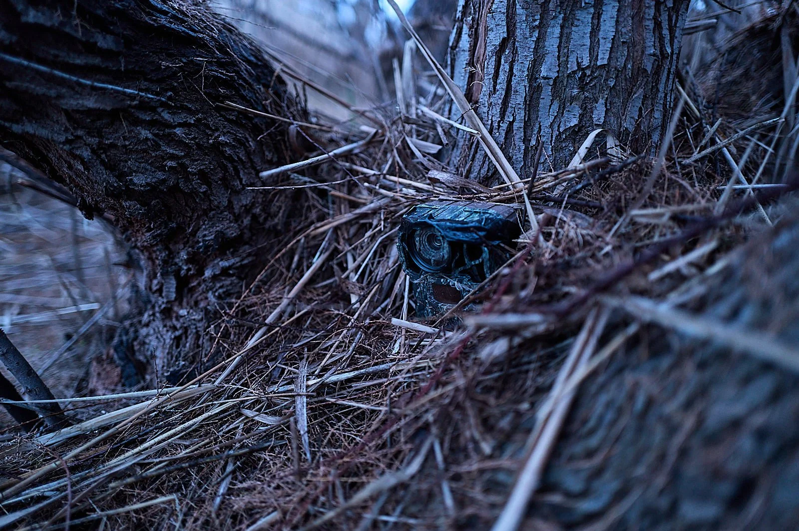 El principal problema del fototrampeo con lentes de aproximacion