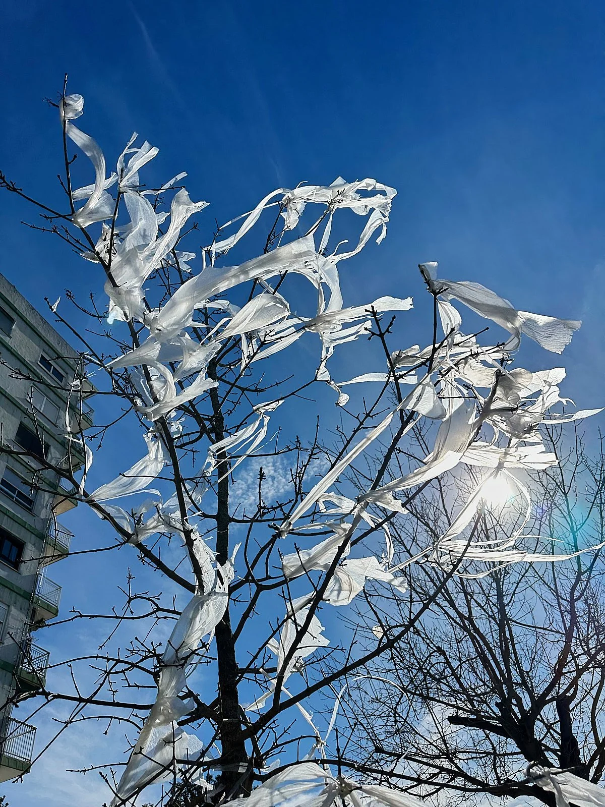 Homenaje a la basura 