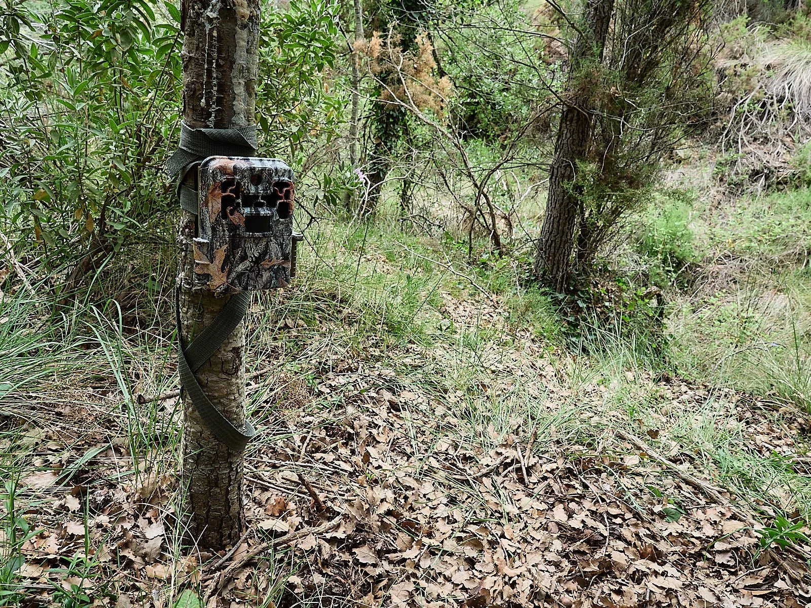 El mejor soporte para tu camara de fototrampeo