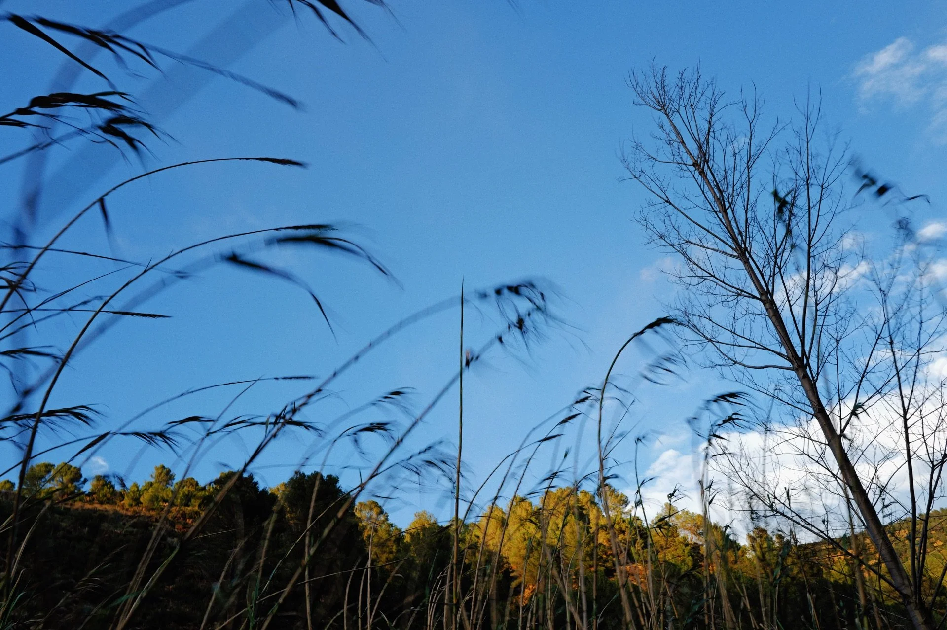 El viento no le gusta a nadie