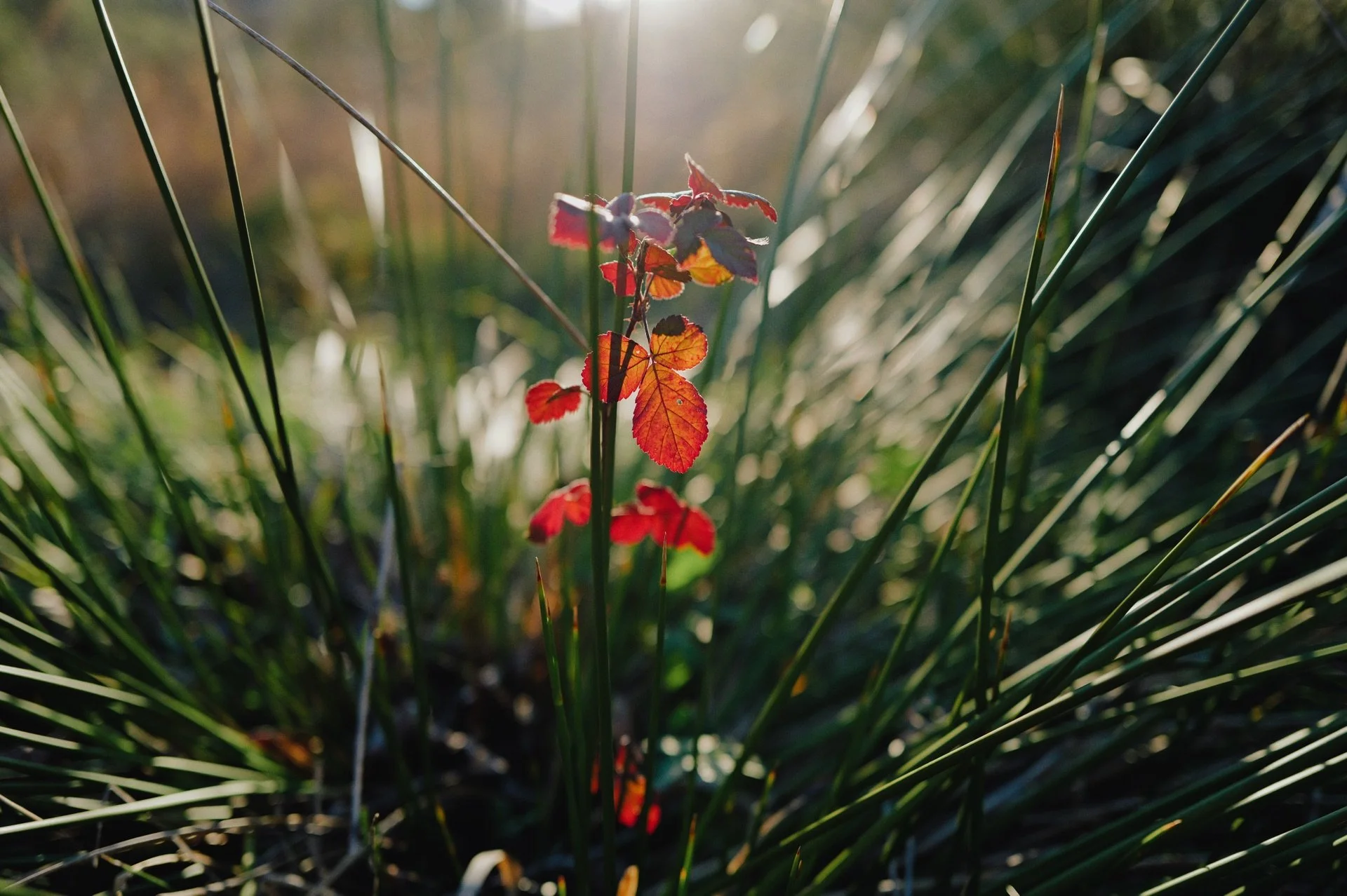 Vista asi parece hasta bonita