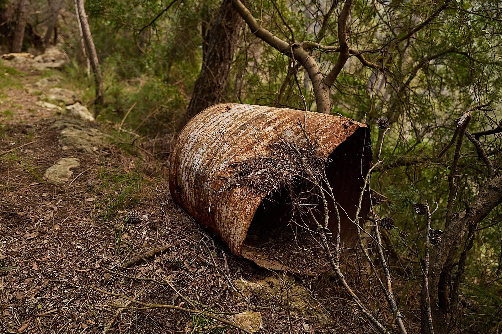 Como mejorar el sendero homologado de Ludiente