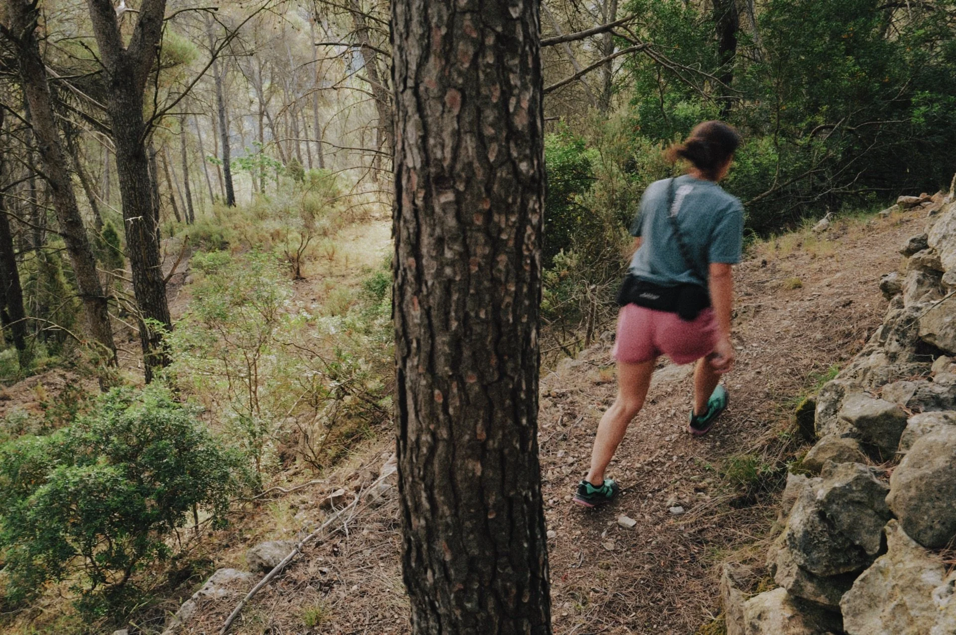 Cosas que descubro caminando por el mismo sendero
