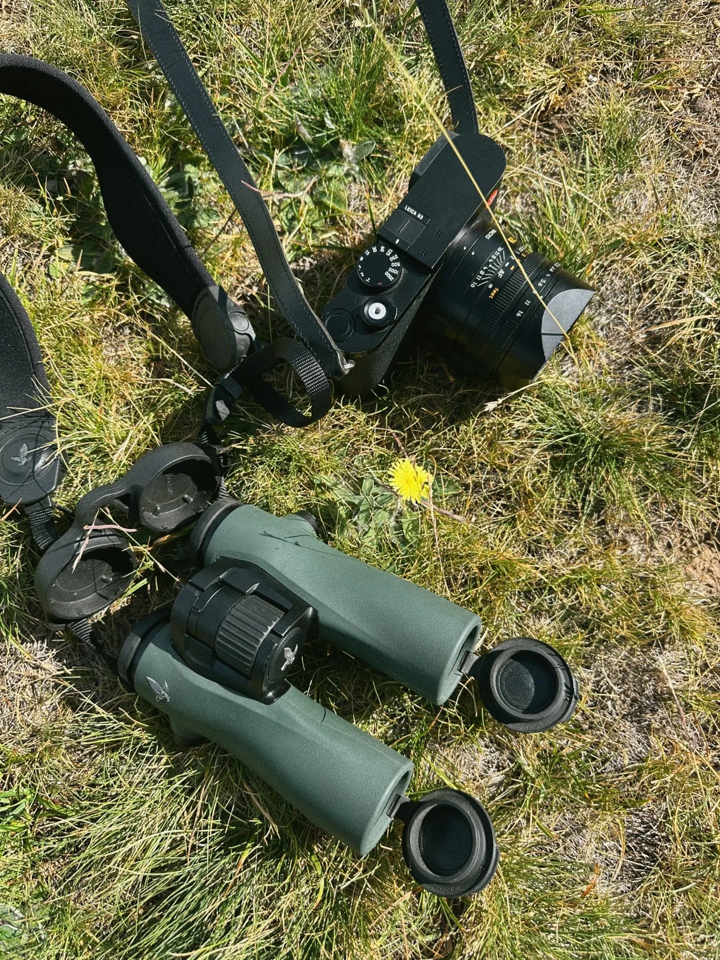 Como pueden viajar juntos un fotografo y un naturalista 