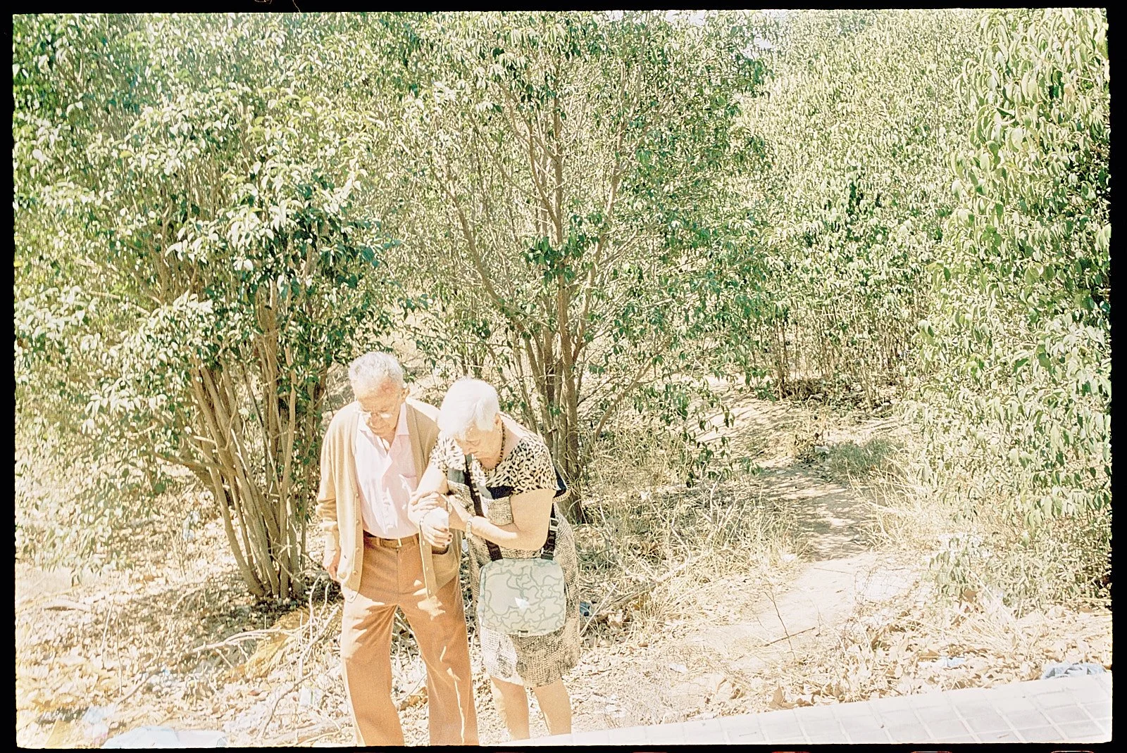 pareja de ancianos bajo el sol