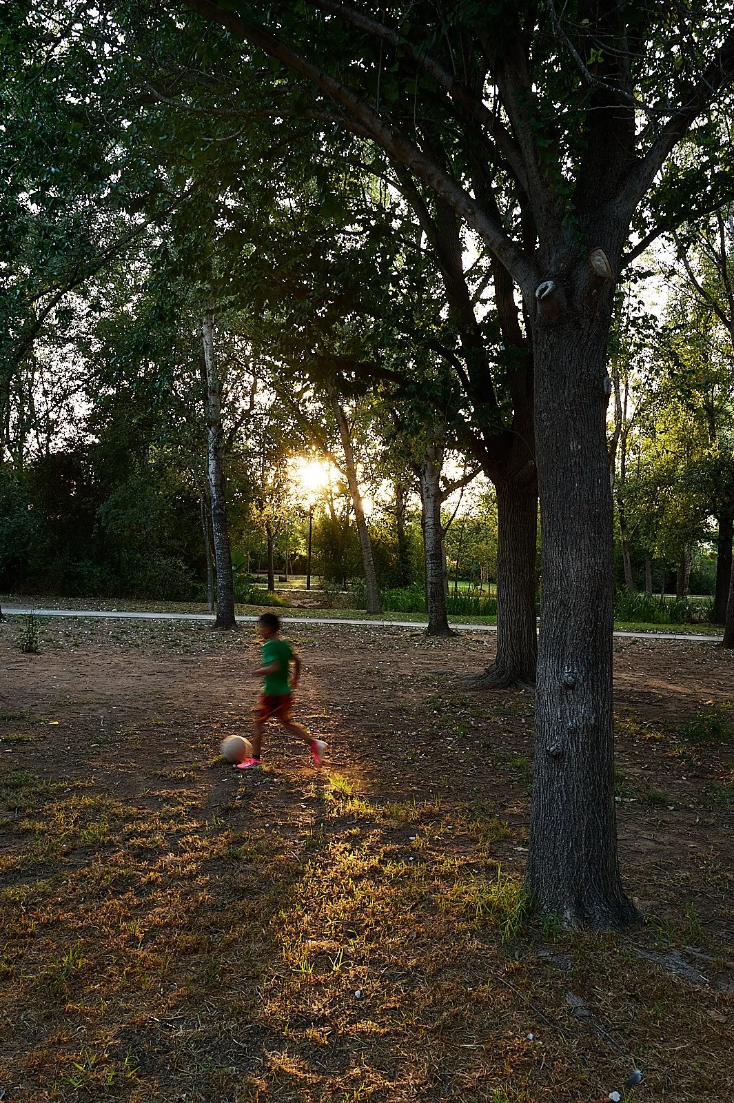 Parque con árboles al atardecer y niño borroso corriendo con una pelota