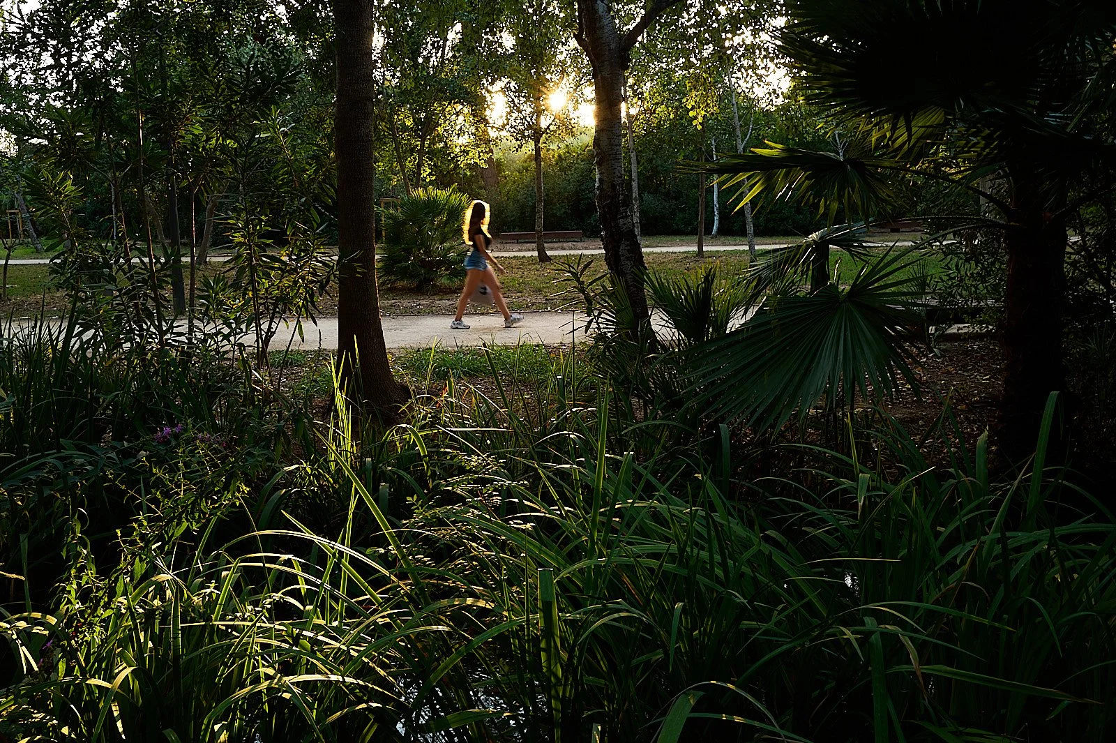 Parque cpn arboles y vegetacion y mujer joven andando iluminada por el sol