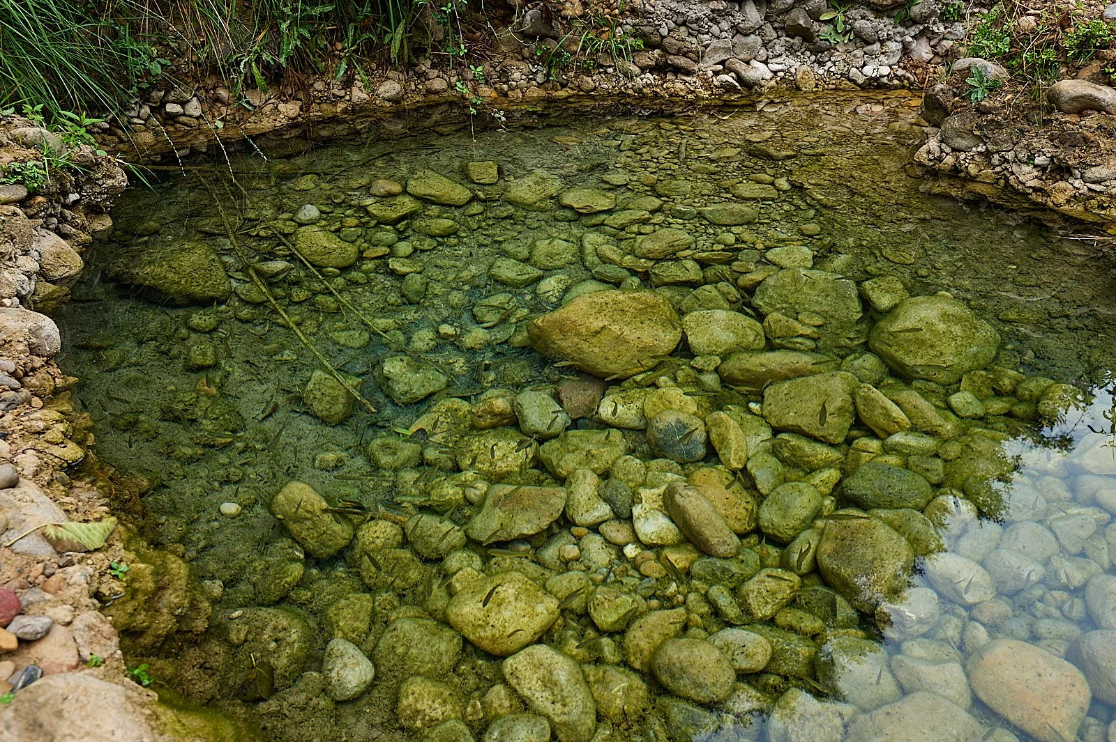 Charca verde entre rocas