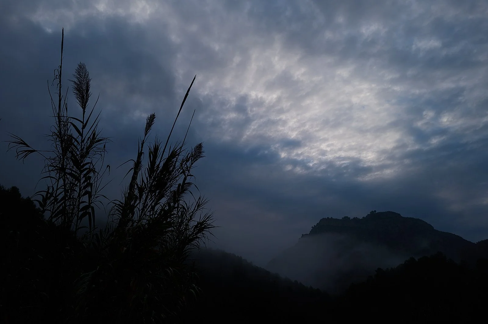 cielo nublado con cañas en primer plano y montañas negras al fondo