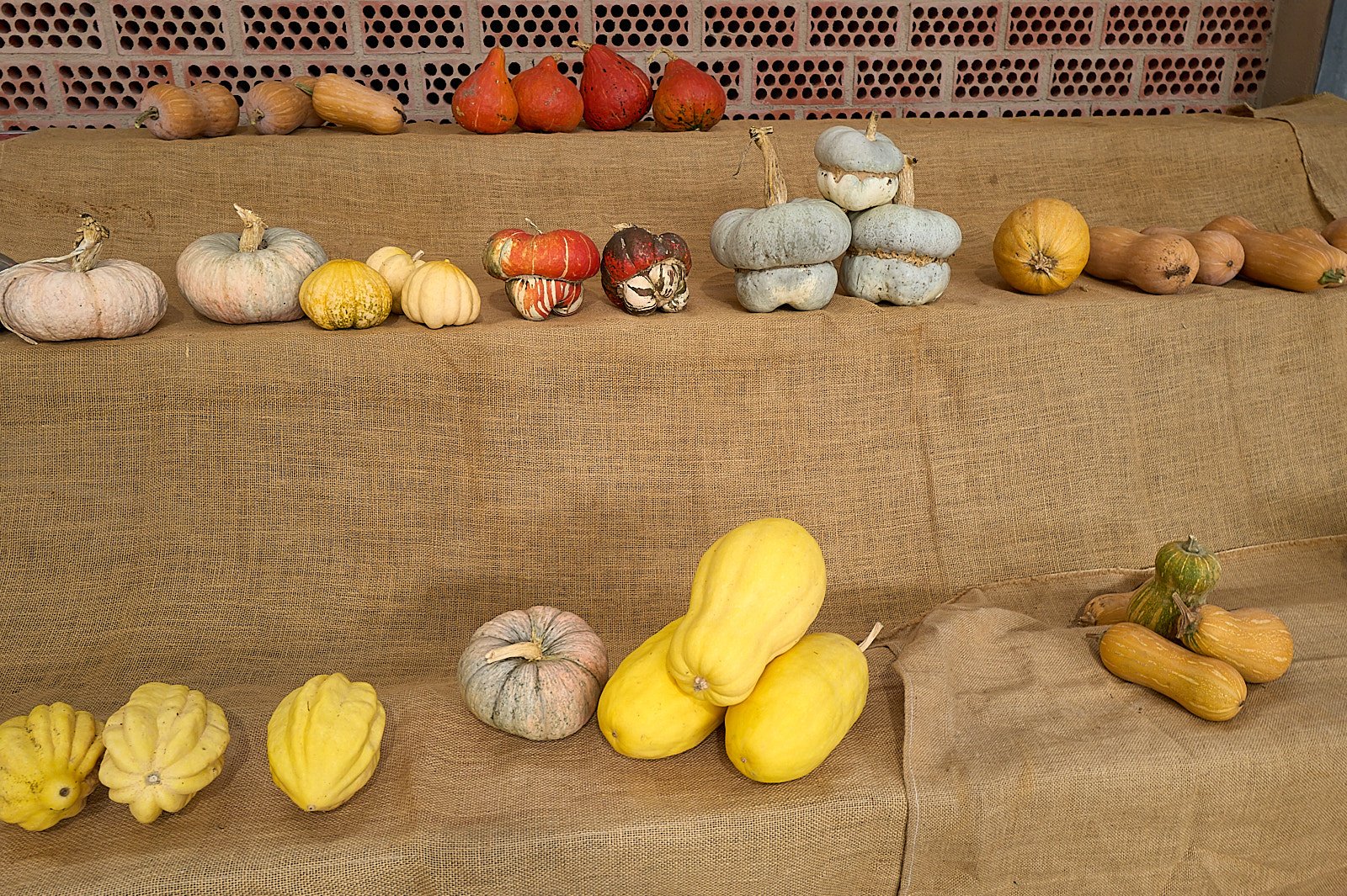 Por que es buena la variedad en agricultura