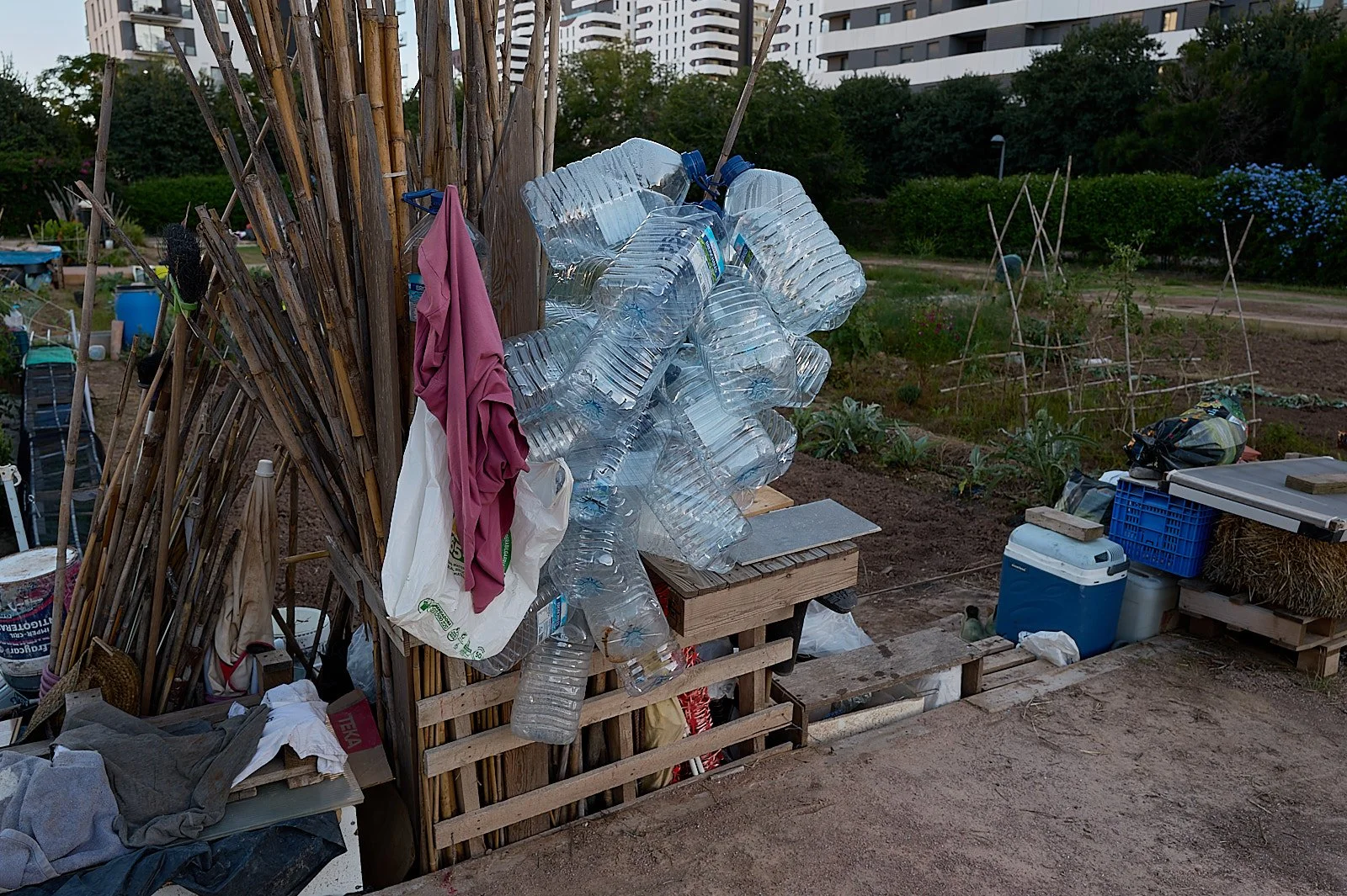 Garrafas de plastico en huerta urbana