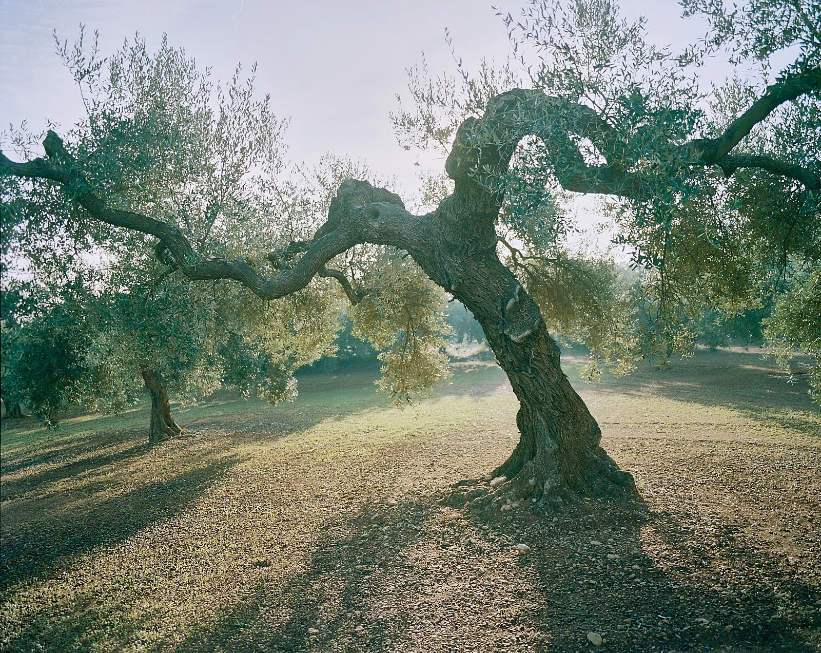 spain 001751.jpg