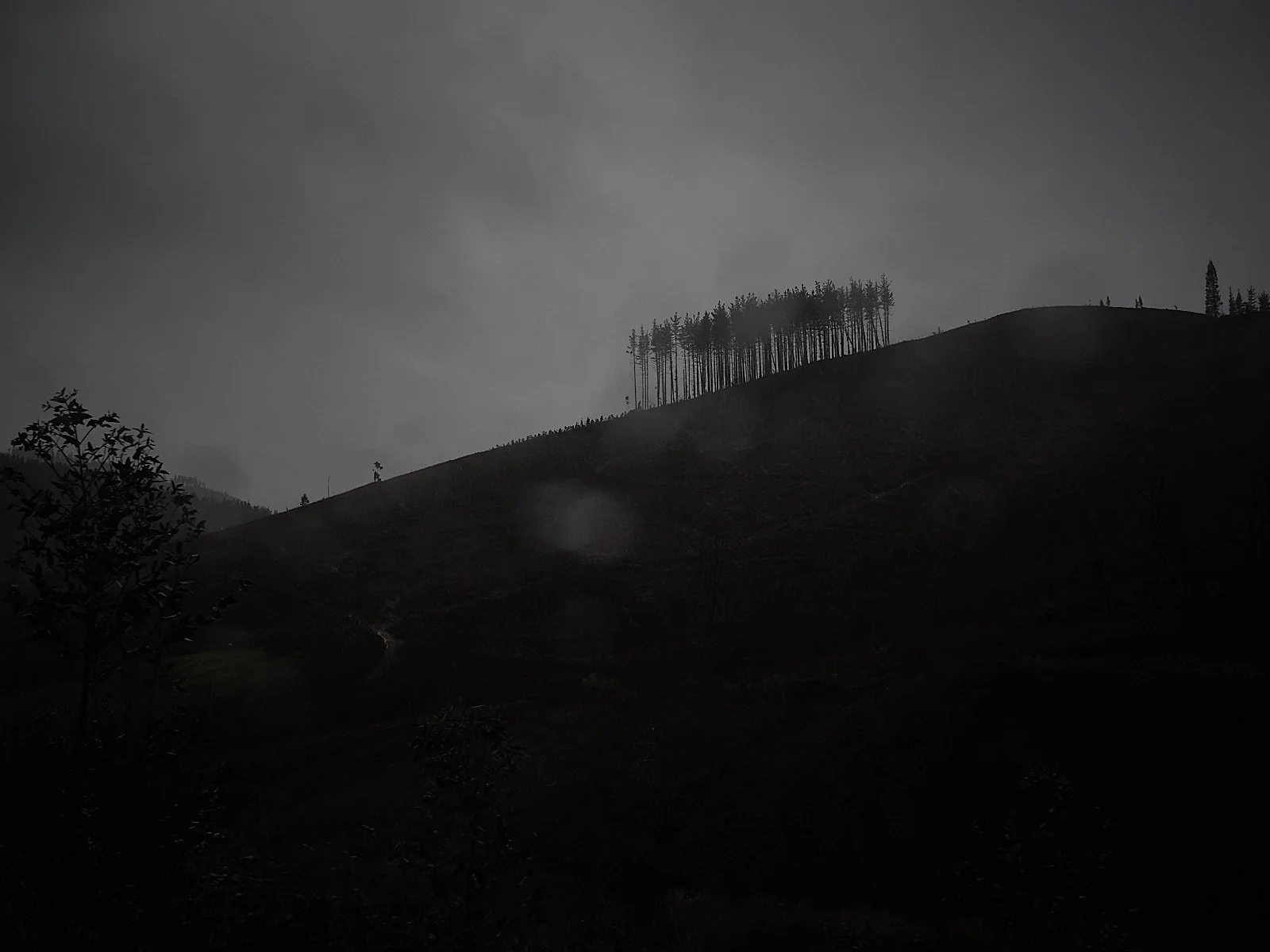 spain038137.jpg