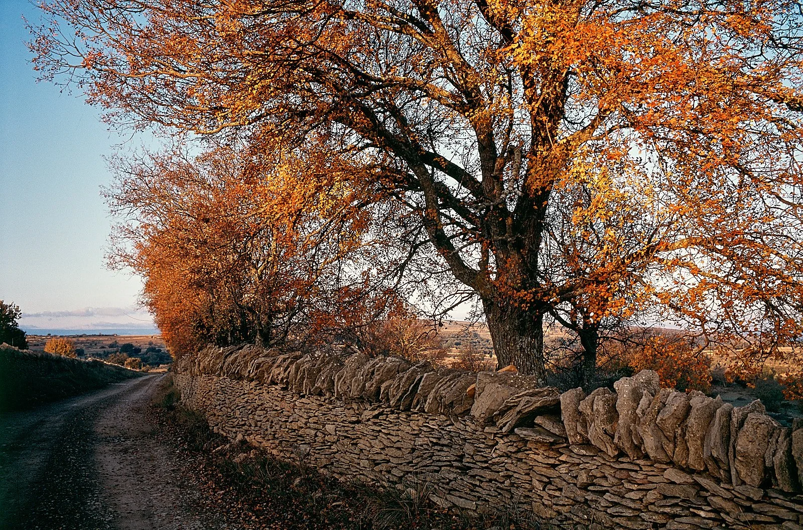 spain 002798.jpg