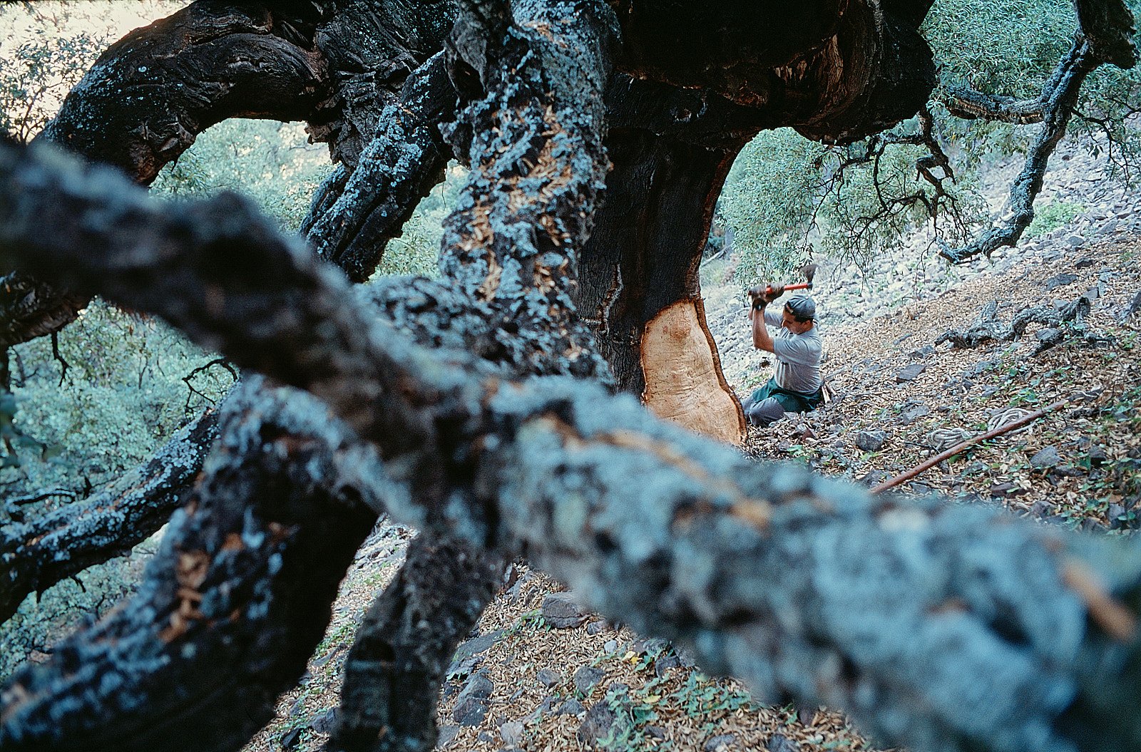 spain 001821.jpg