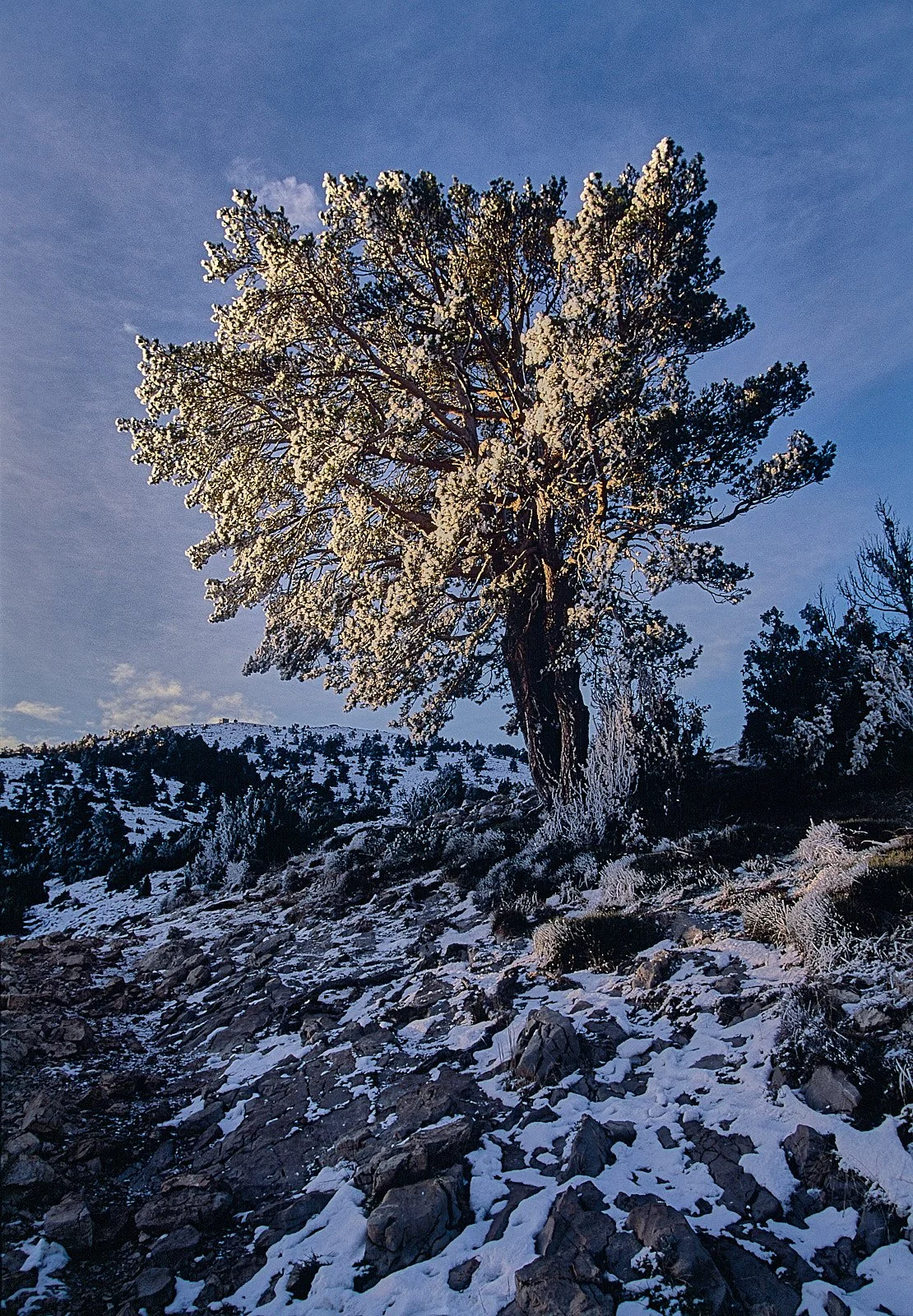 spain 010766.jpg