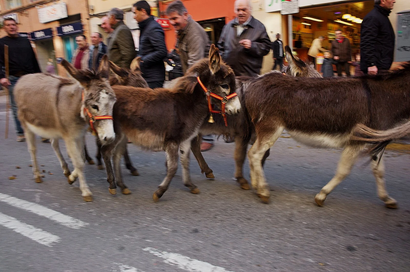 spain 005863.jpg