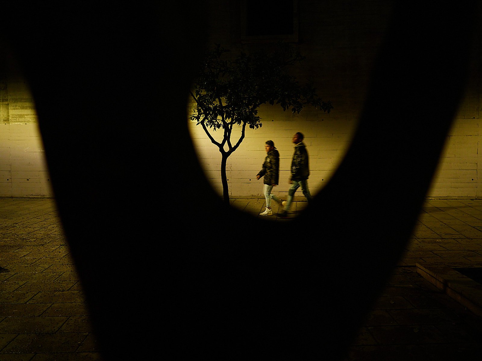 spain016471 1.jpg