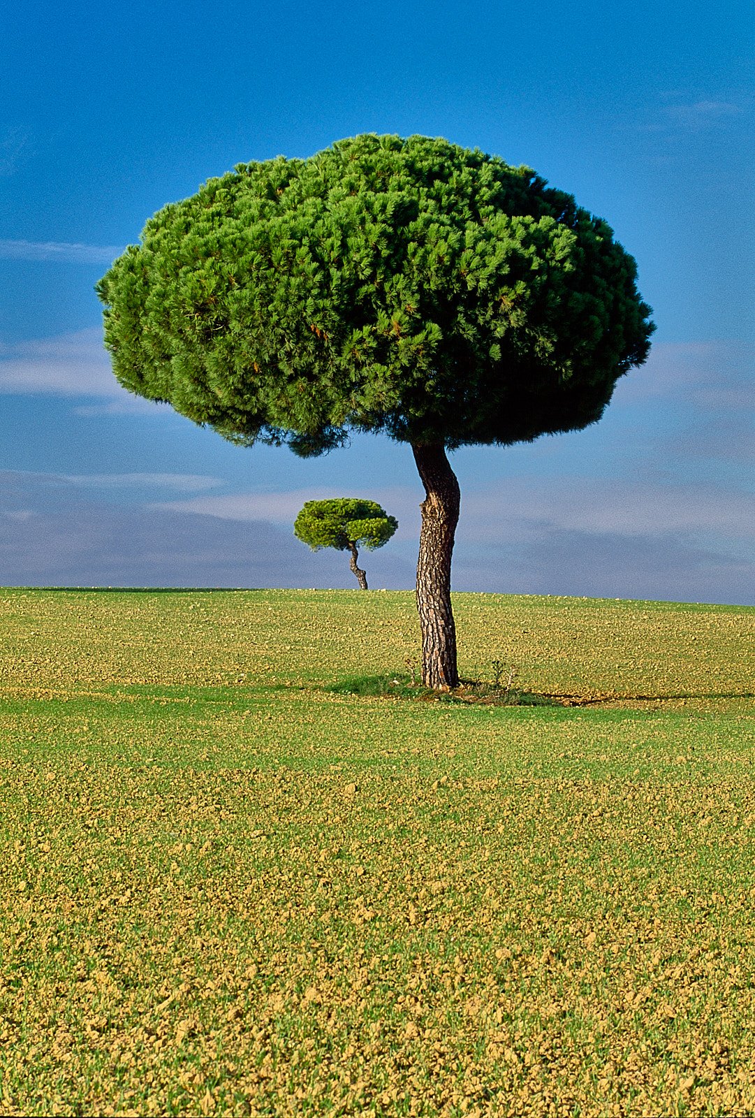spain 009825.jpg