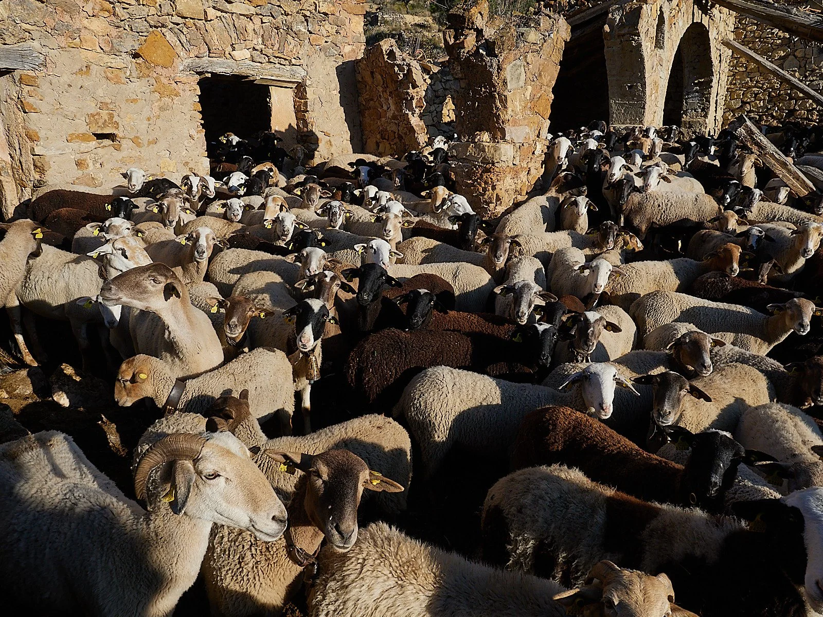 spain023318.jpg